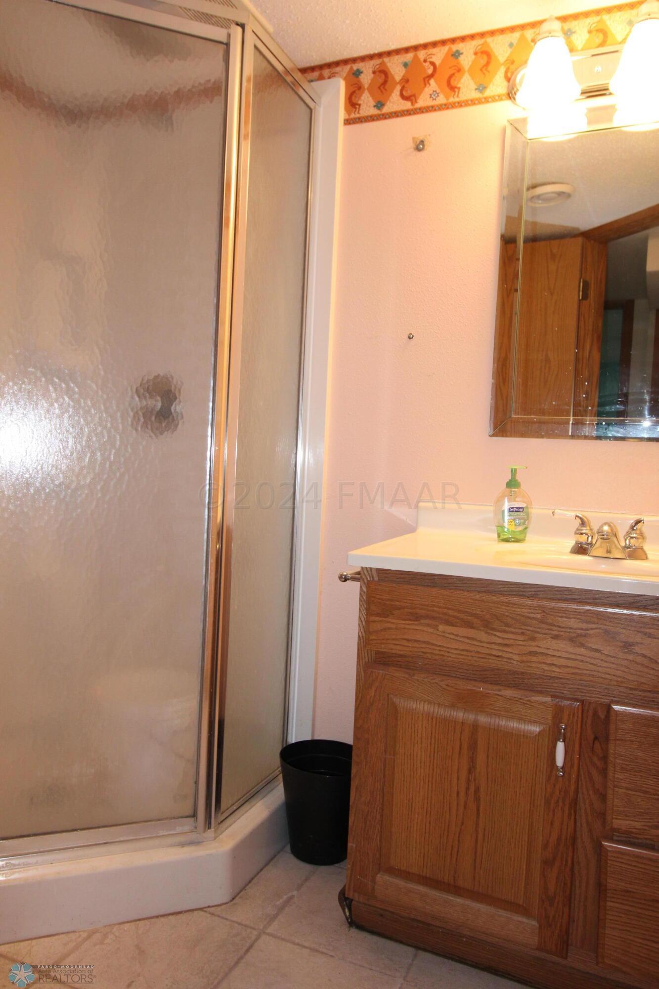 Basement Bathroom