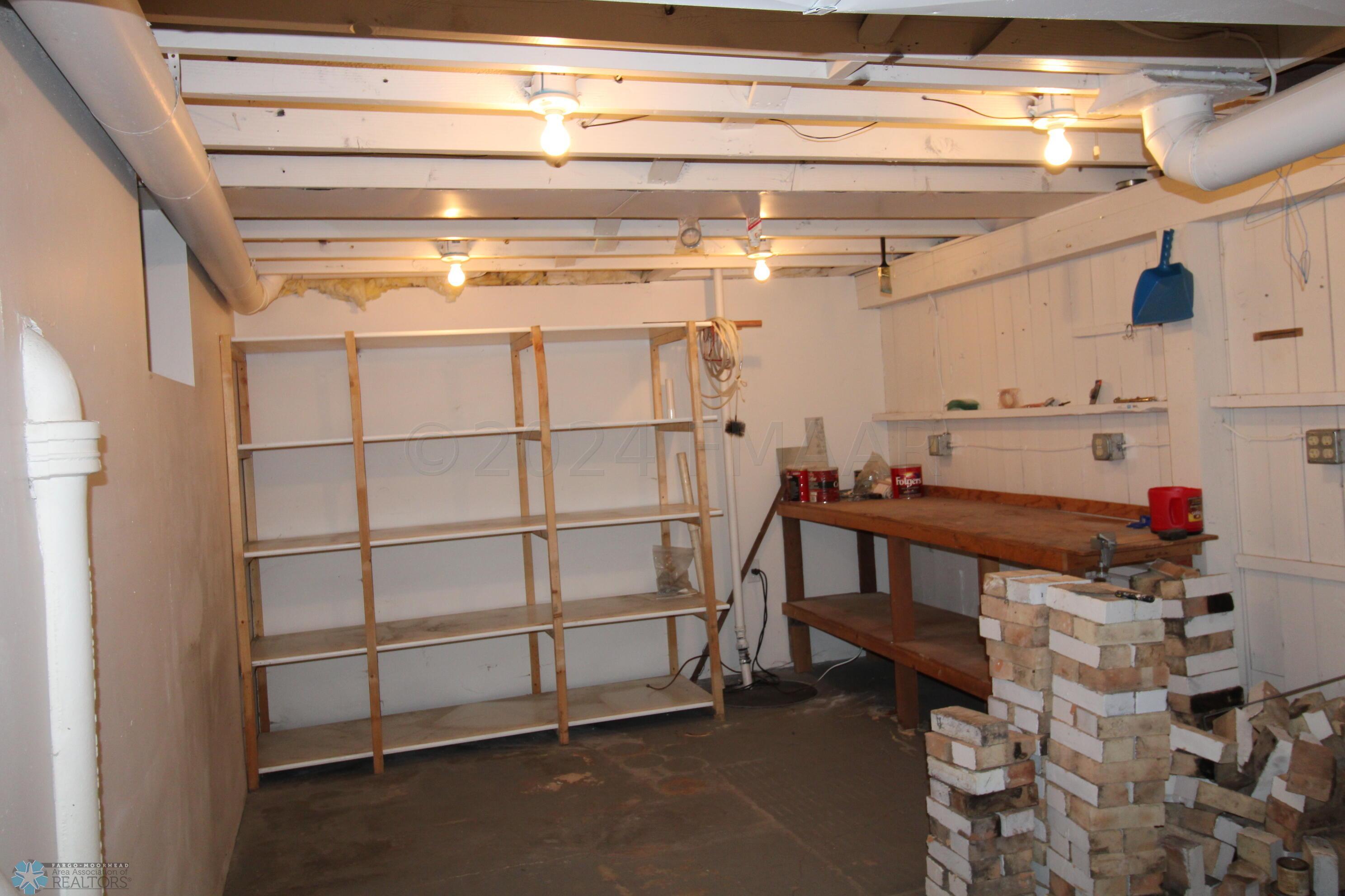 Basement Workshop/Utility