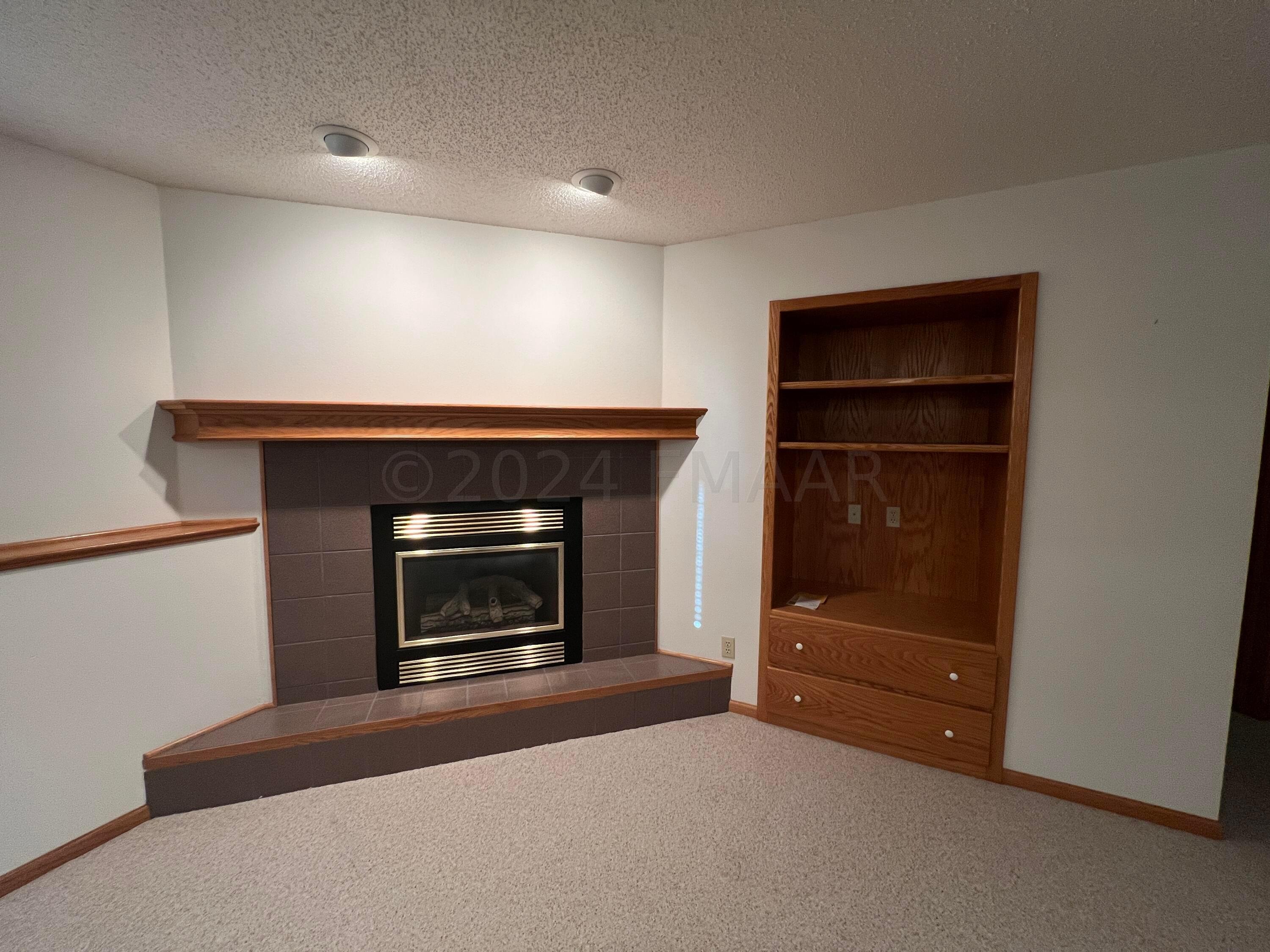 Gas Fireplace