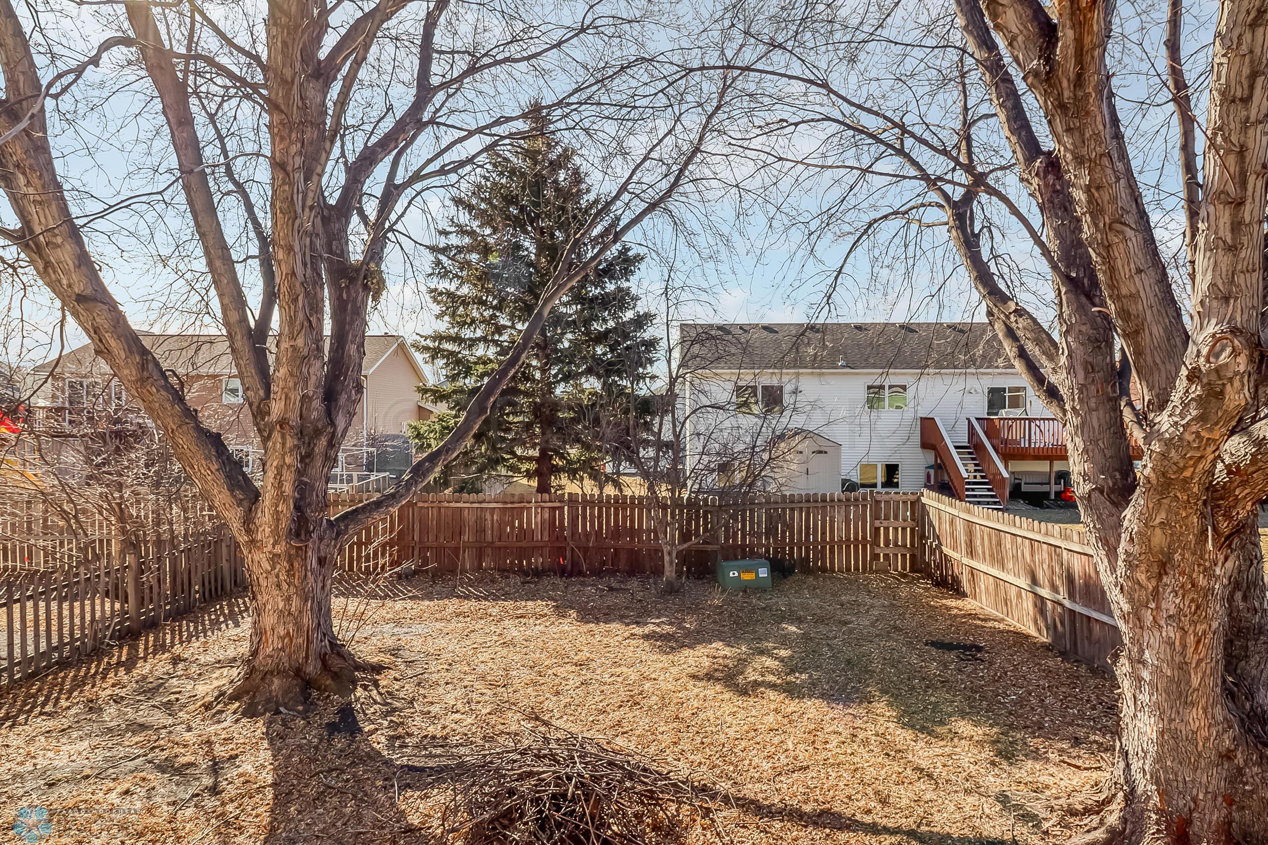 Backyard1_1