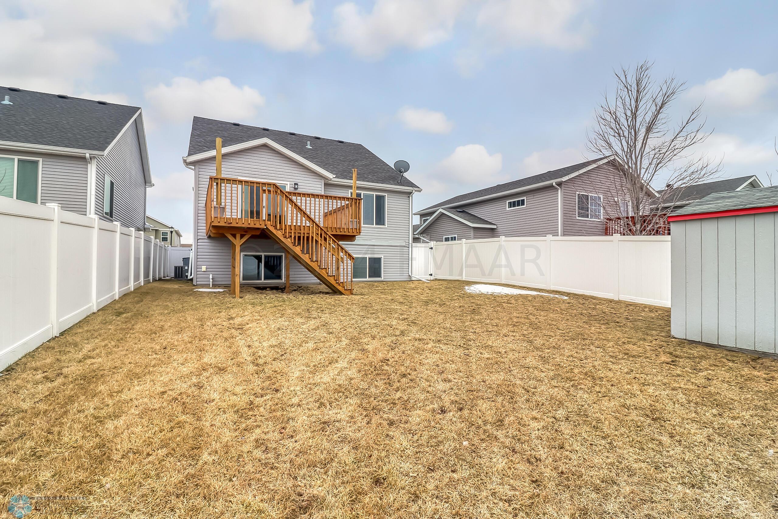 Backyard1_1