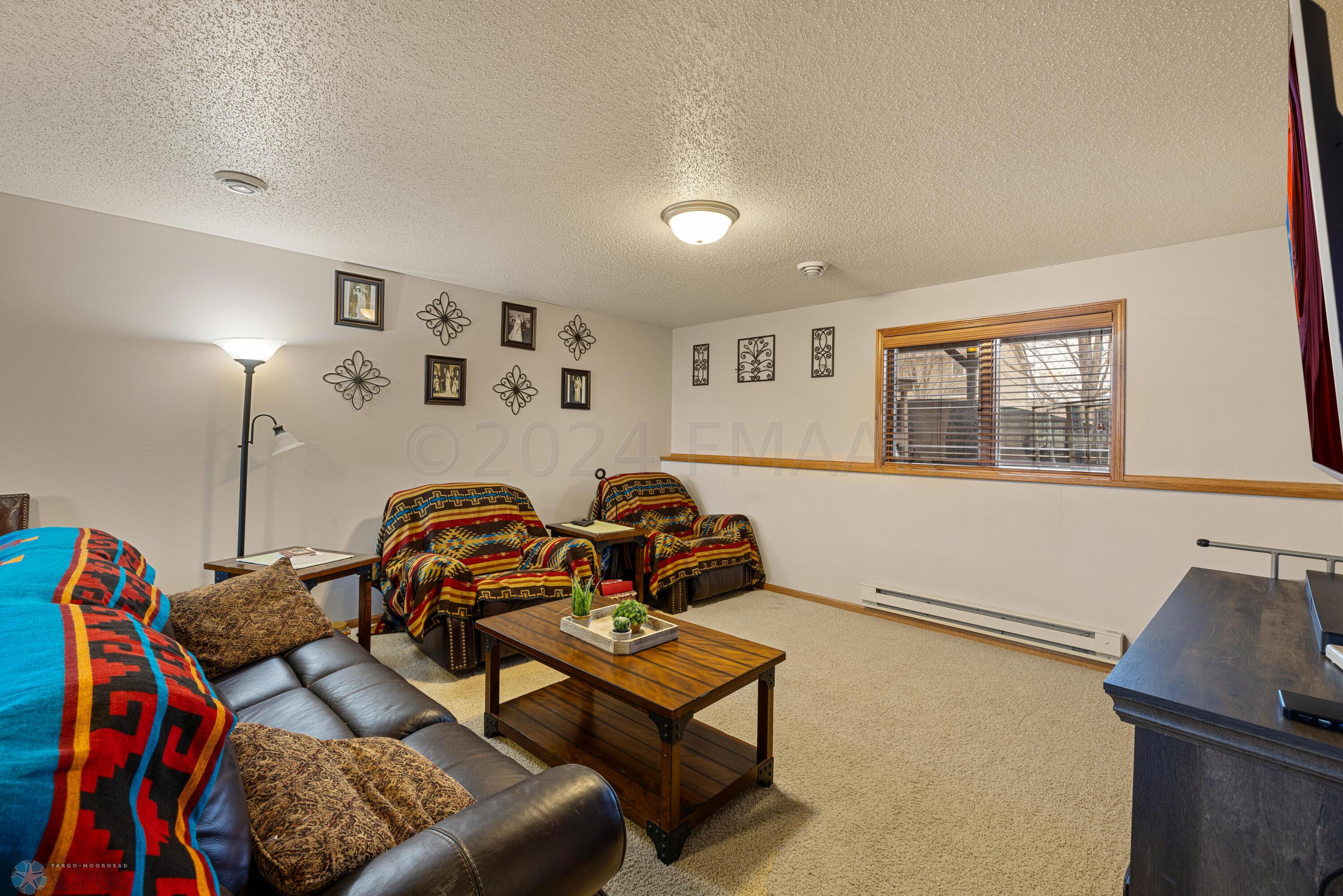 Basement Living Room