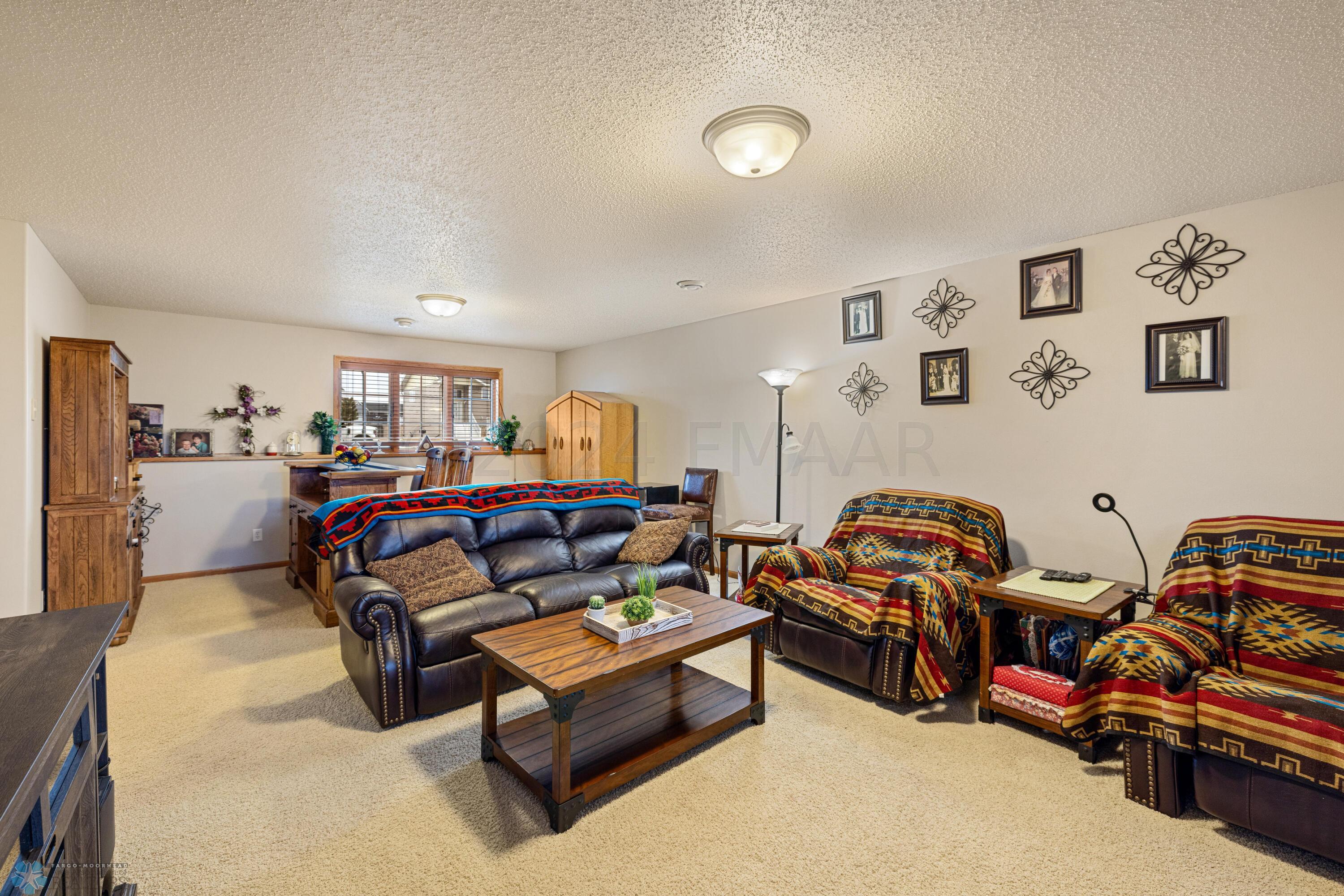 Basement Living Room