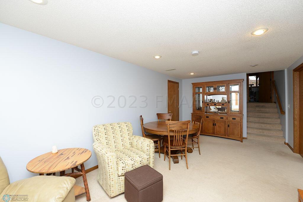 Basement Family Room