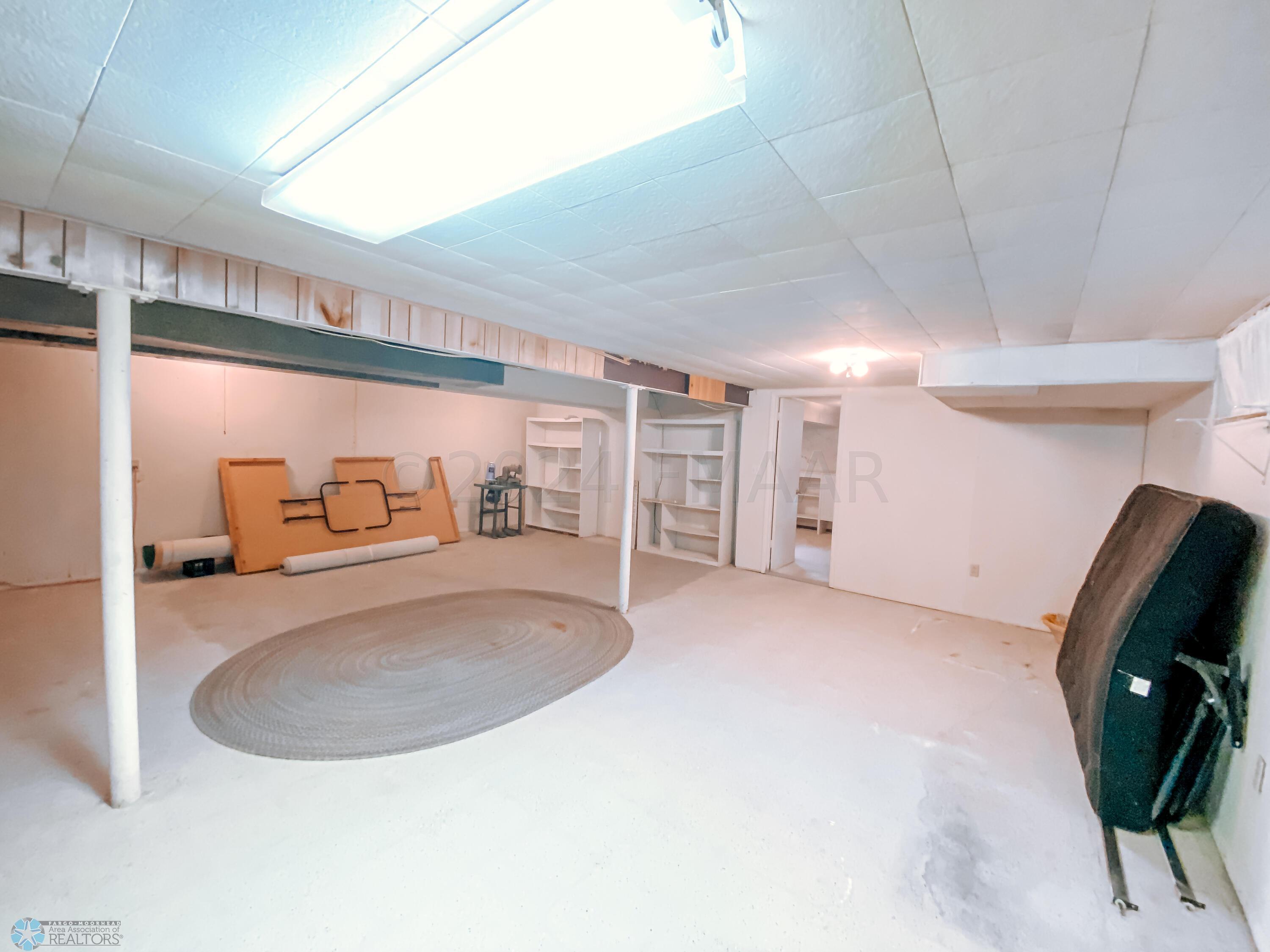 Basement Living/Flex Room
