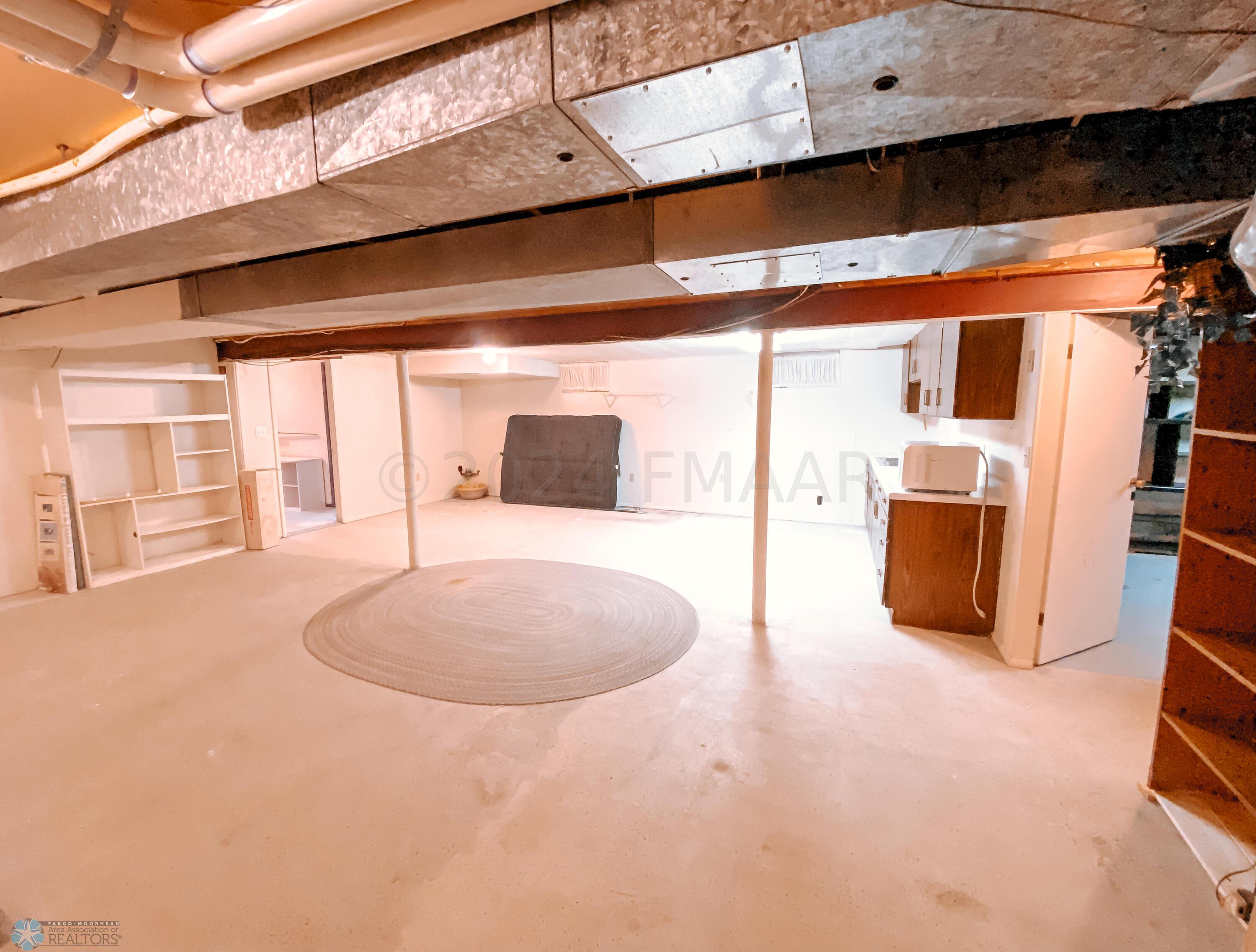 Basement Living/Flex Room