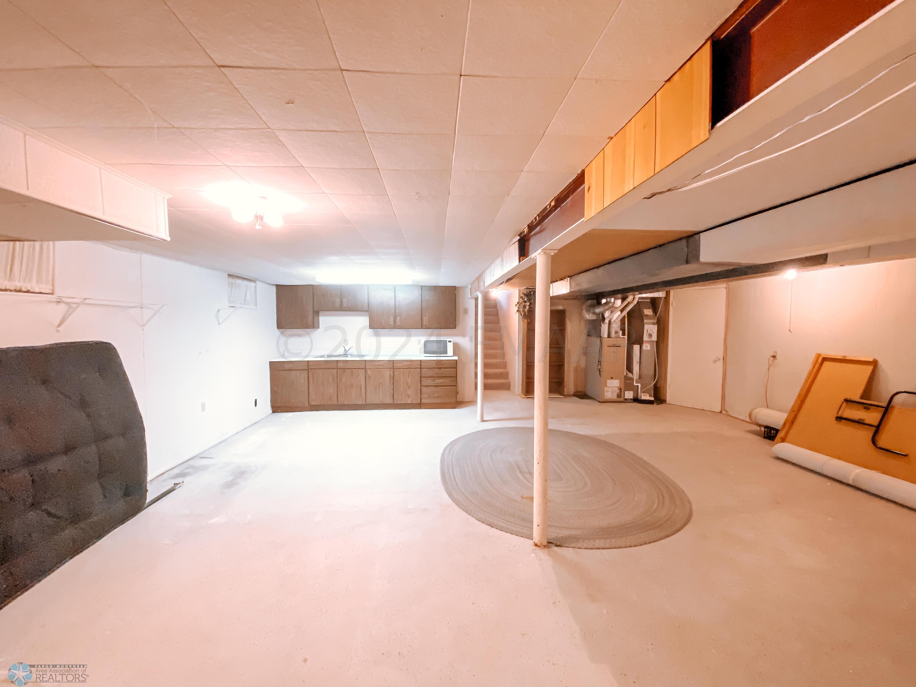 Basement Living/Flex Room