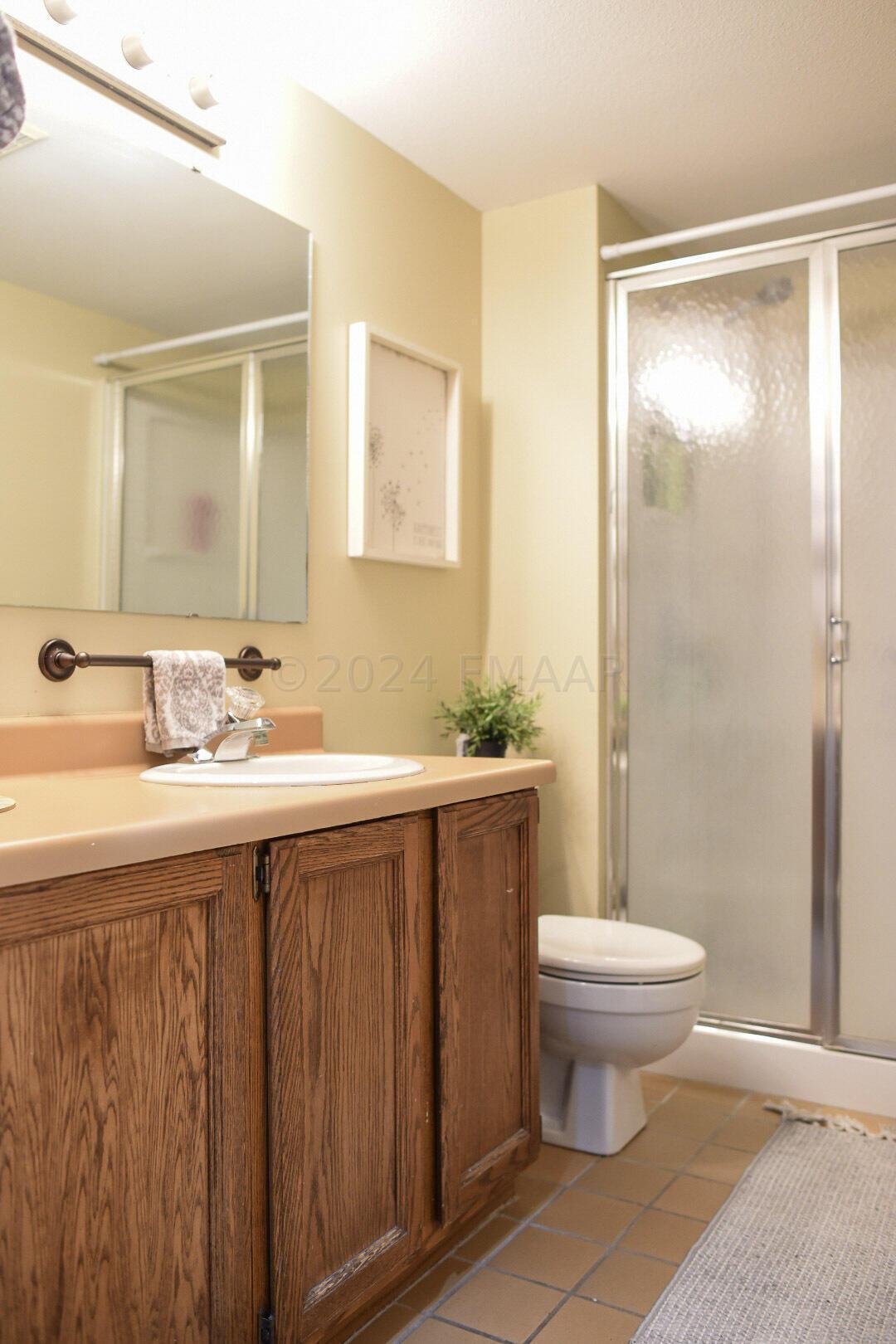 Basement Bathroom