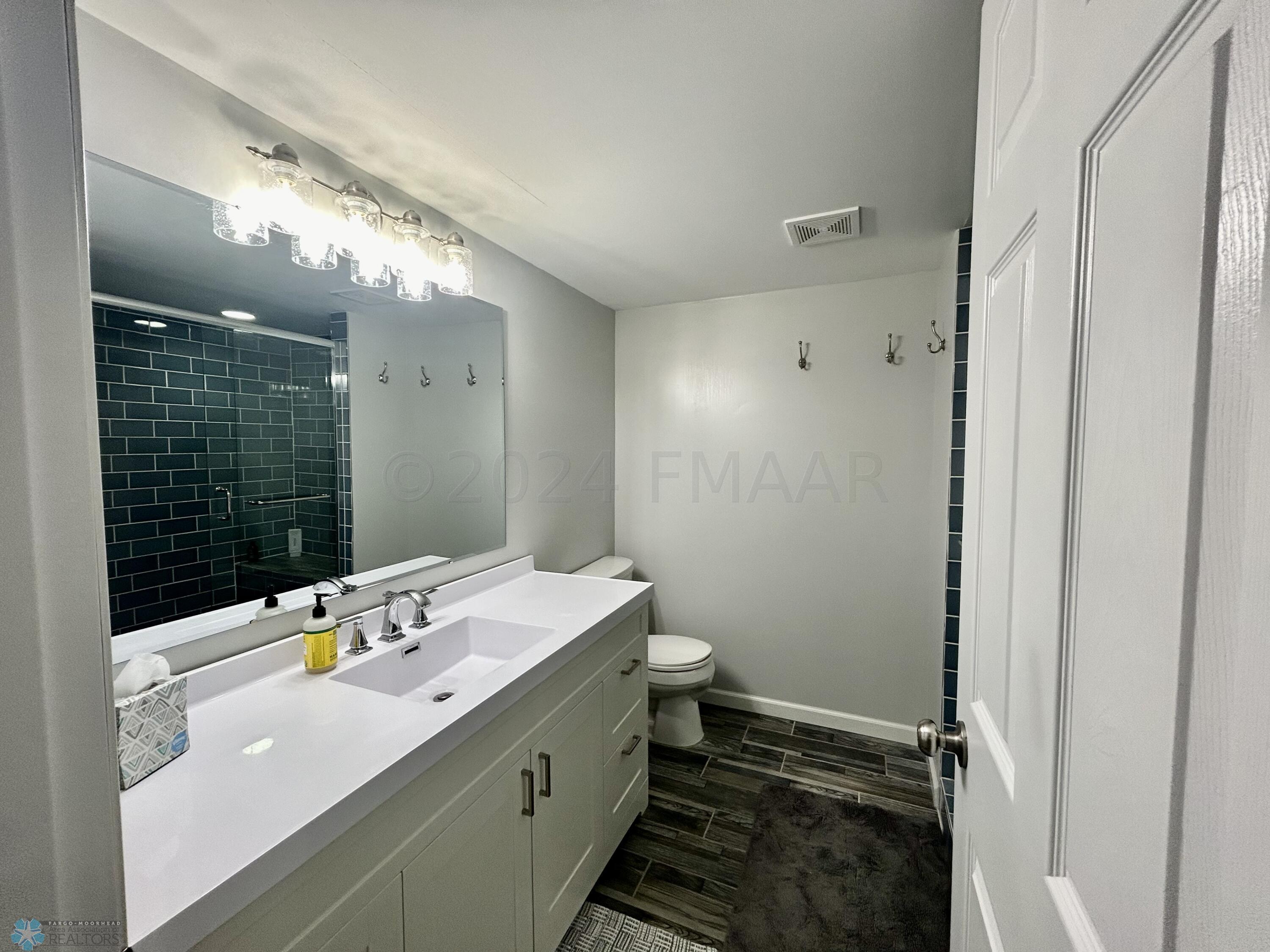 Basement Bathroom