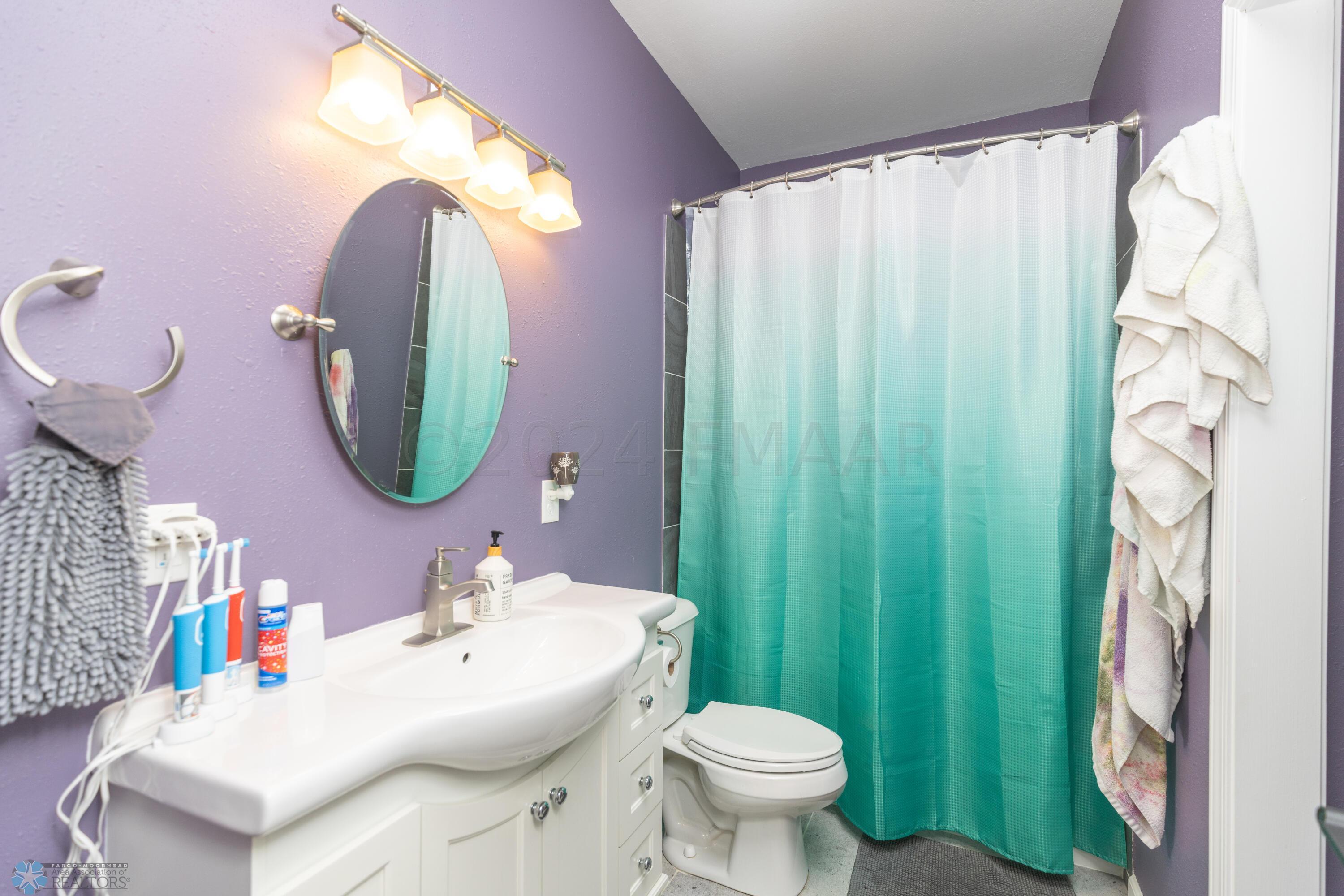 Lower Level Bathroom