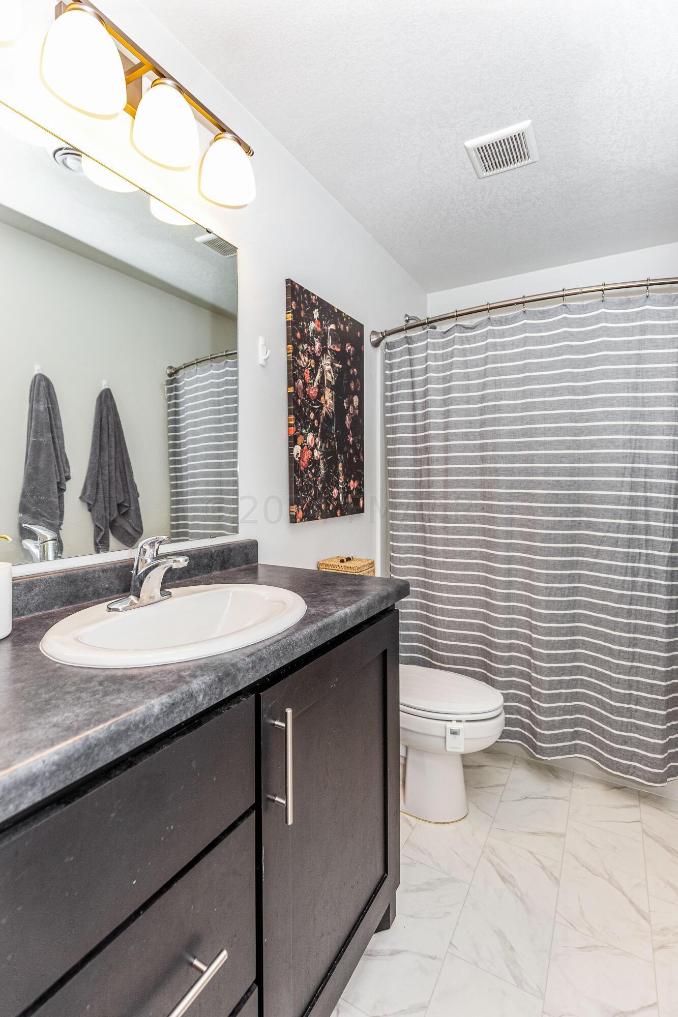 Basement Bathroom