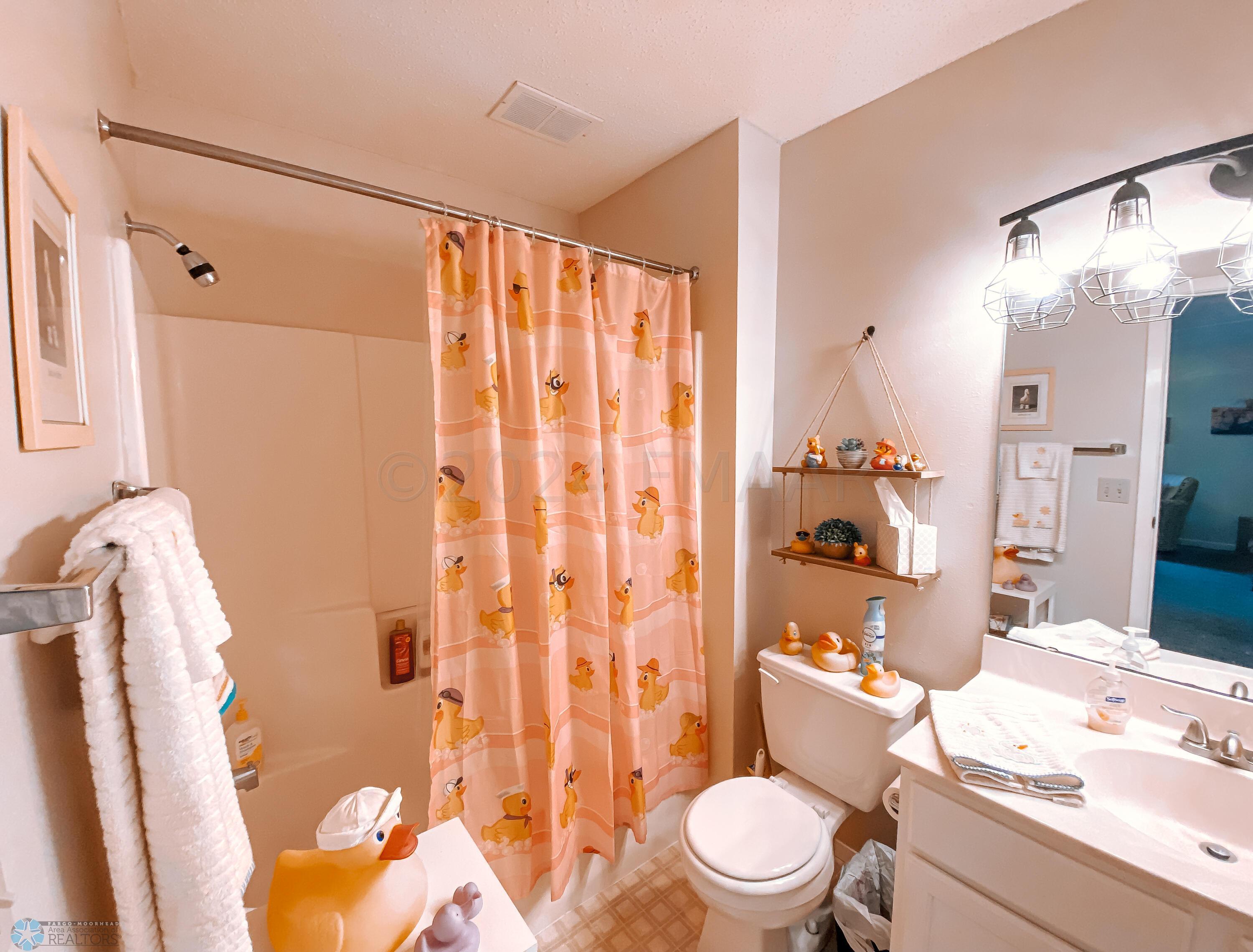 Lower Level Bathroom