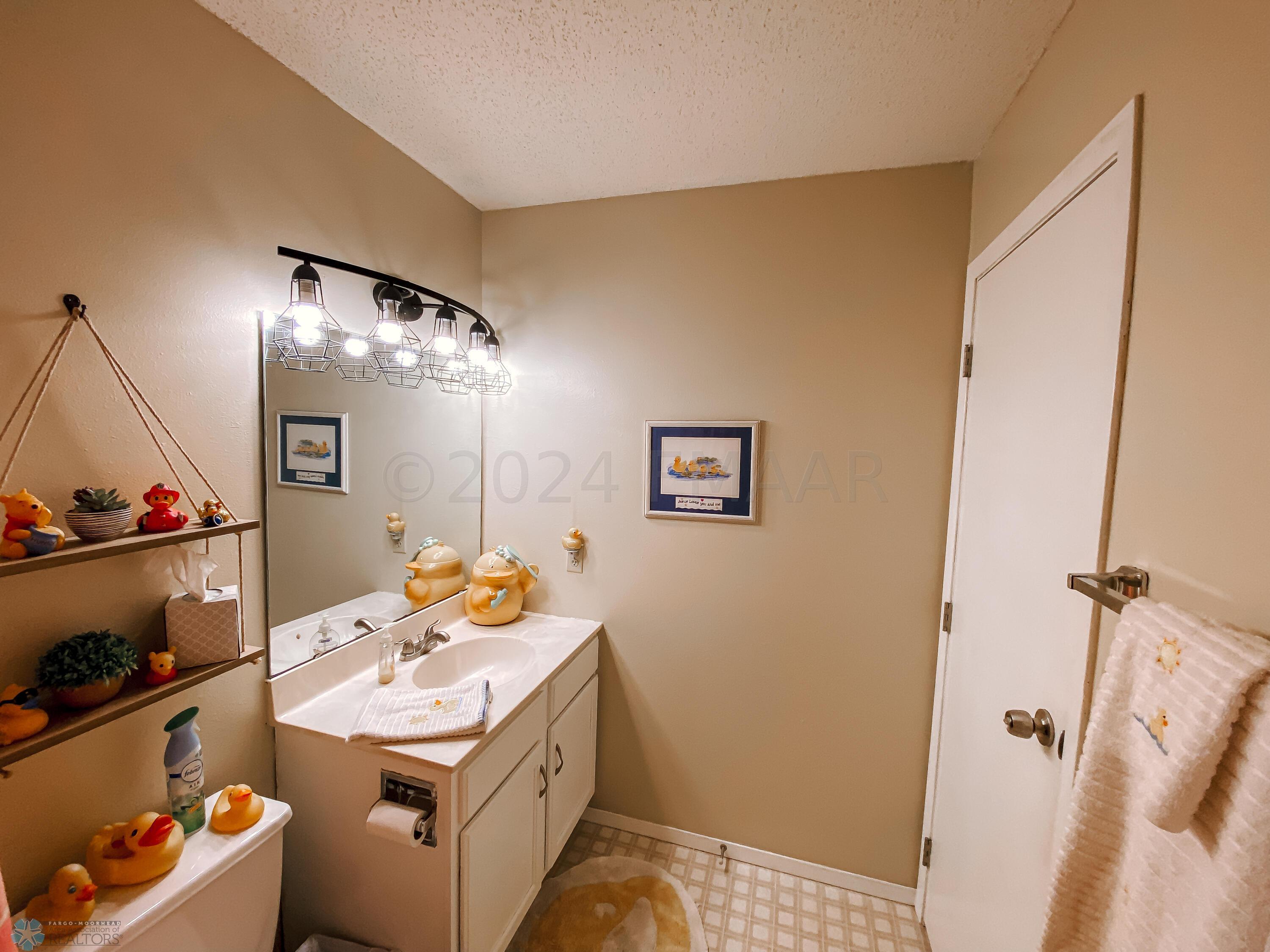 Lower Level Bathroom