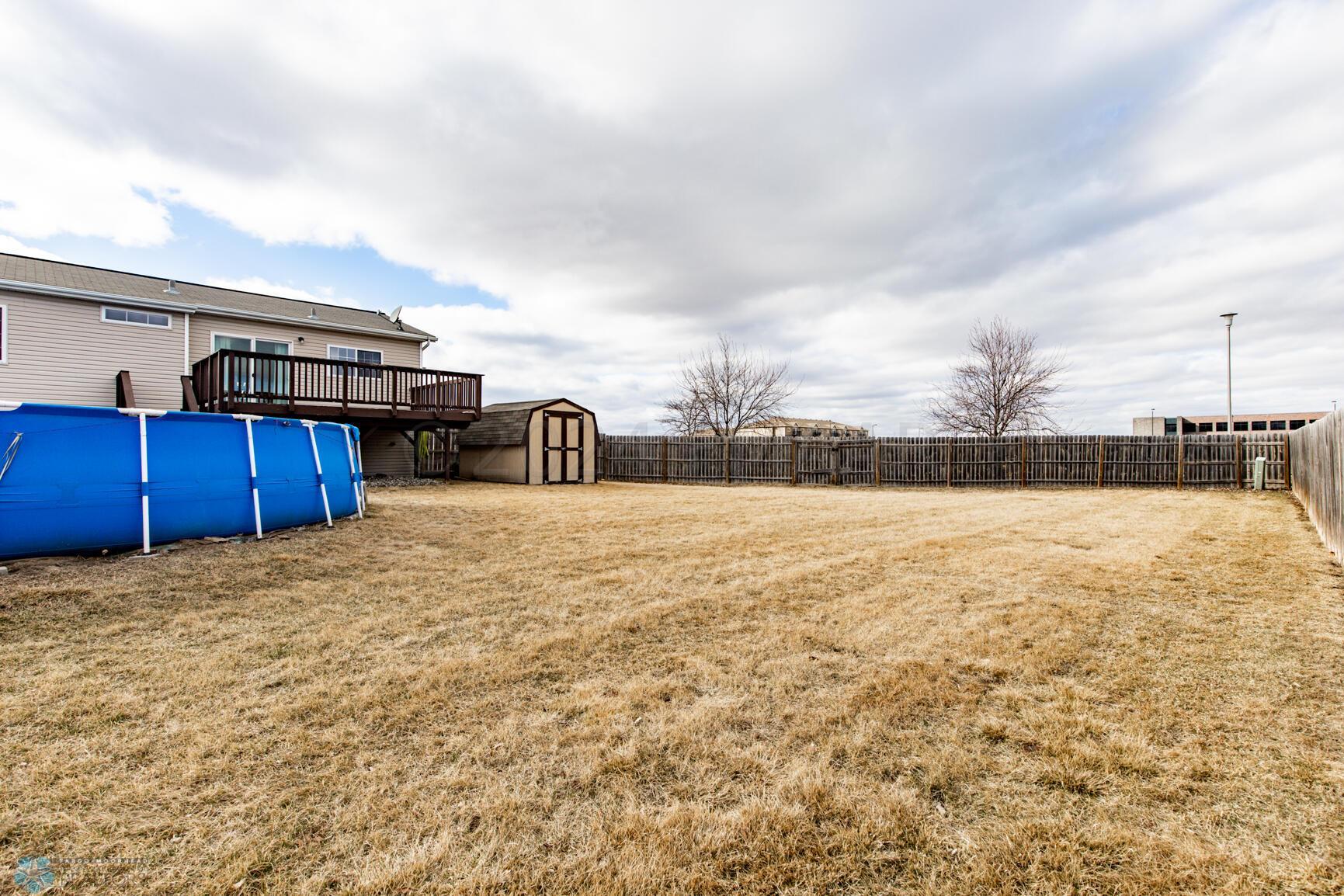 Backyard2
