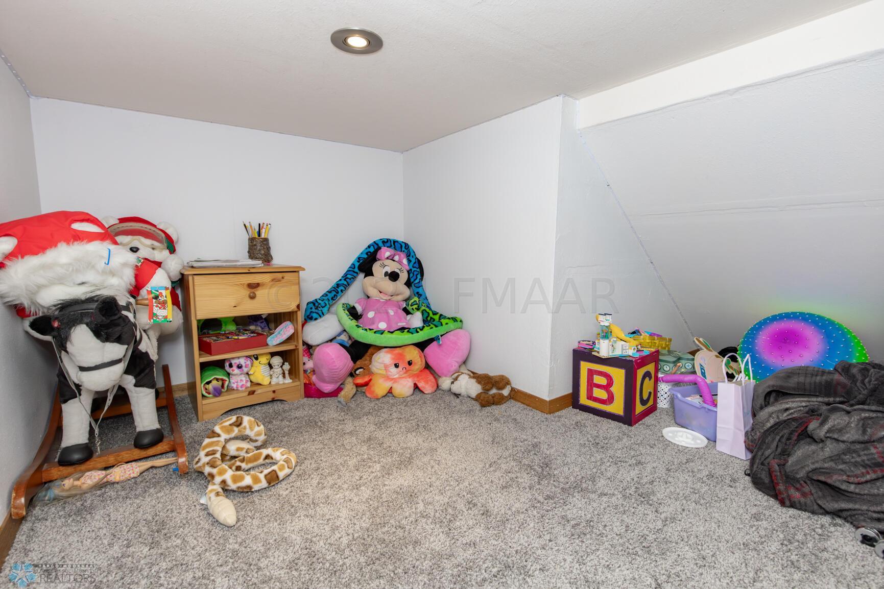 4thBedroomCrawlSpace2