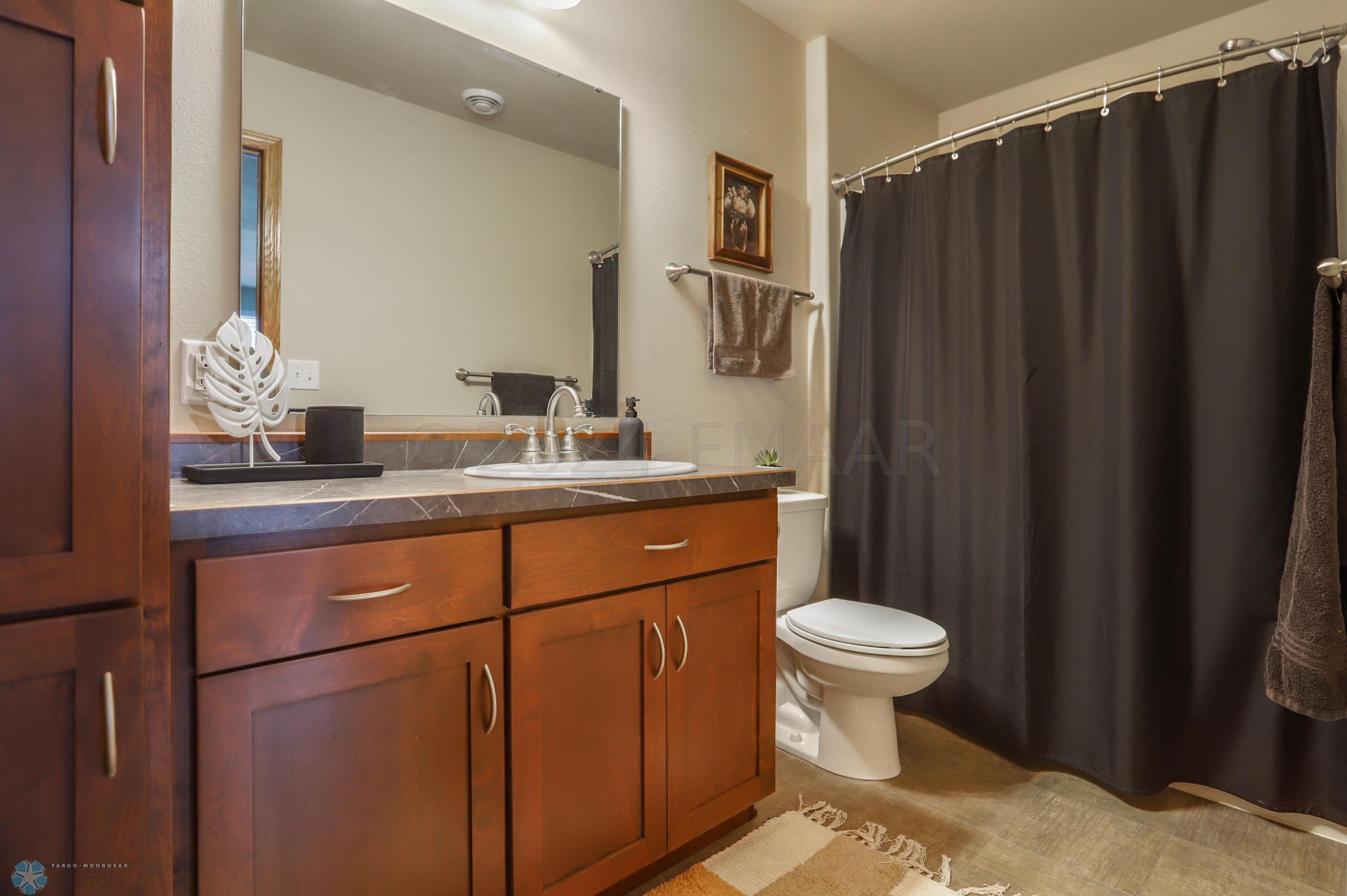 Lower level bathroom