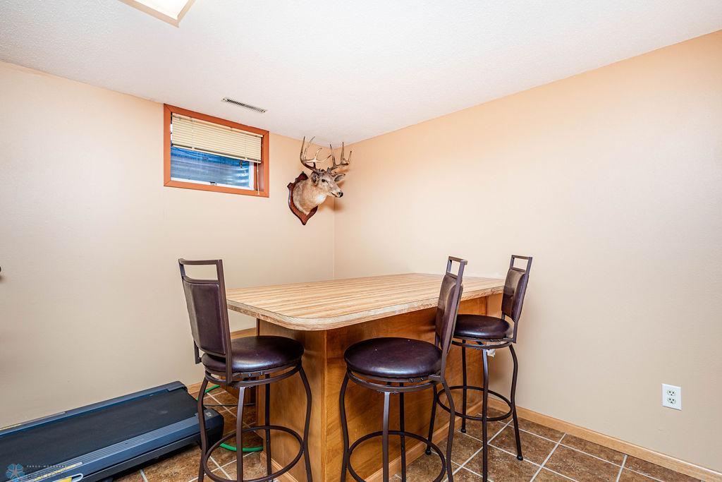 Basement Entertainment Area