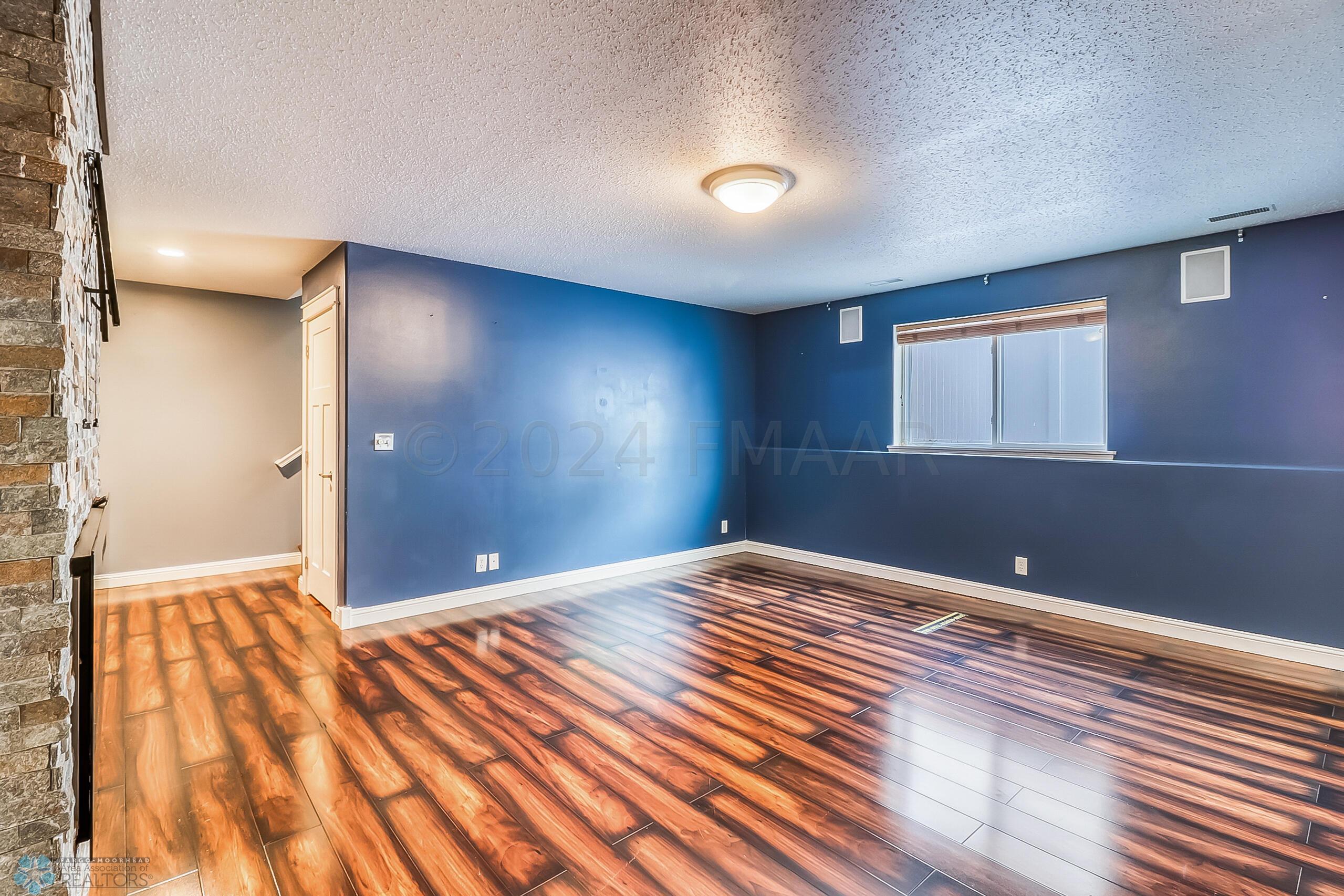 Basement Family Room