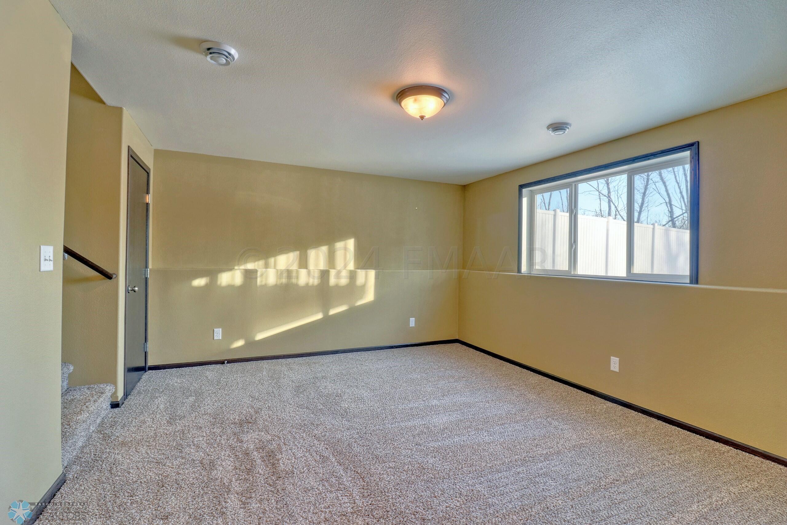 Basement Family Room