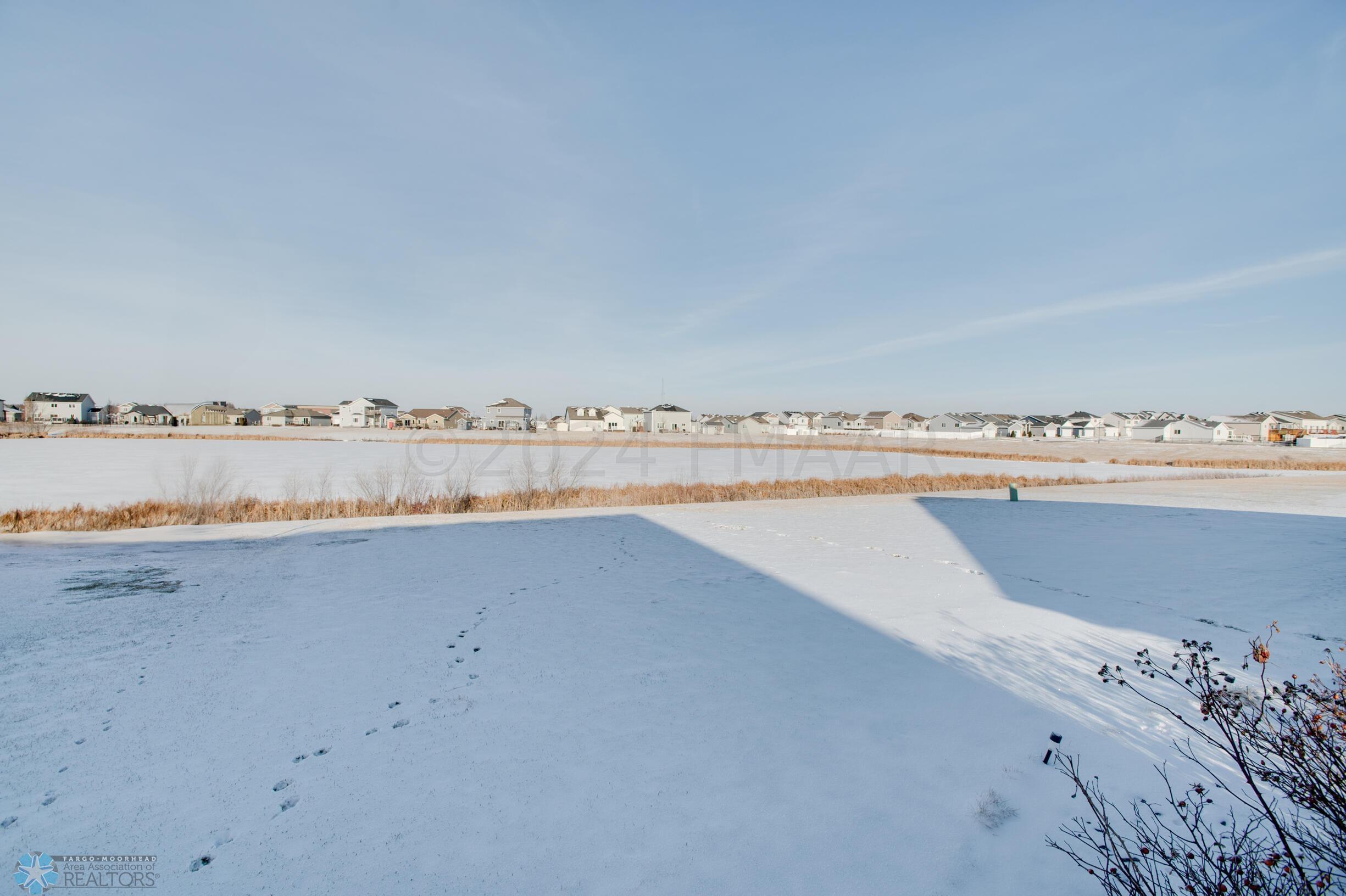 Backyard & Pond