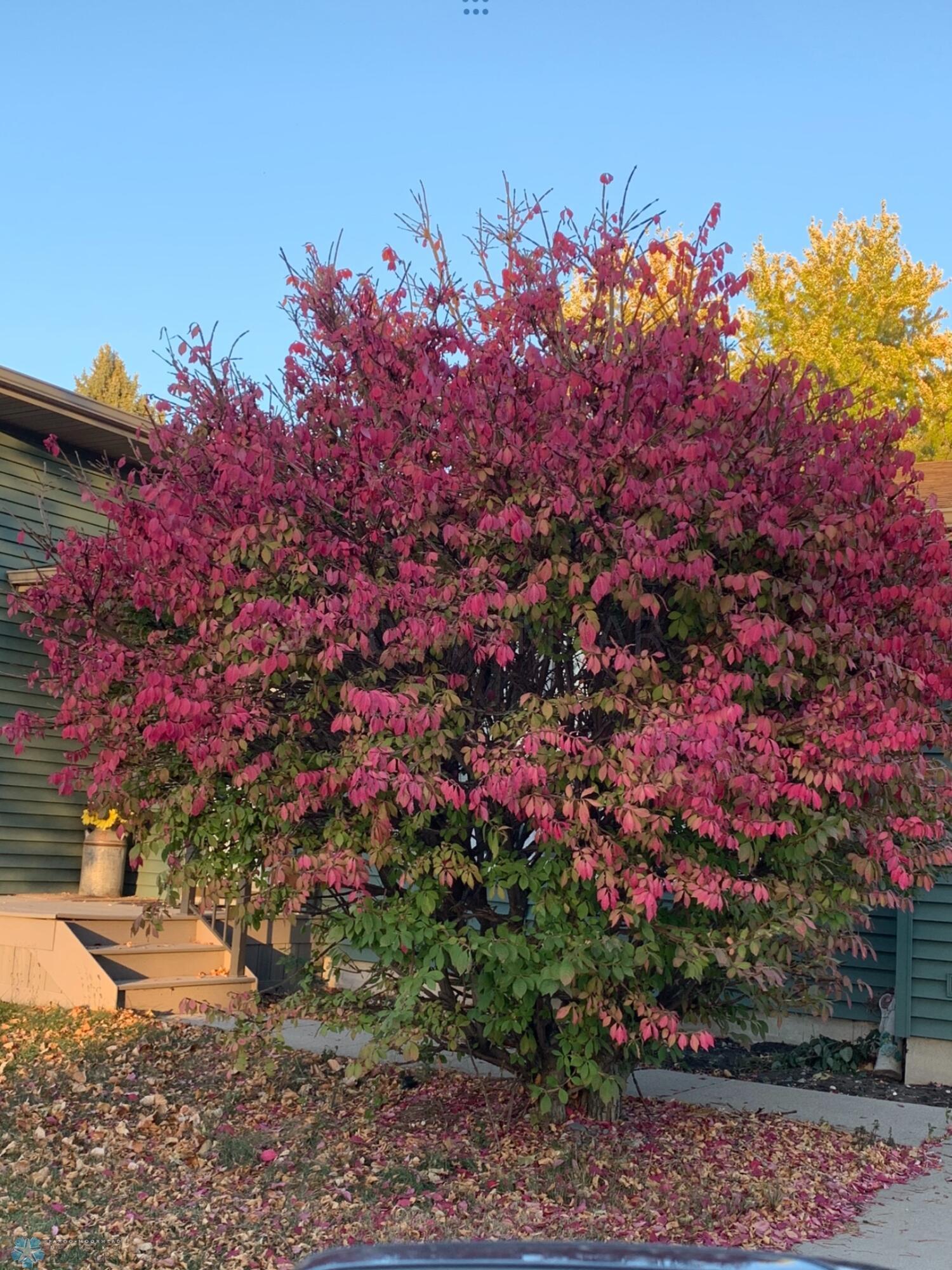 Client provided outdoor pic 3