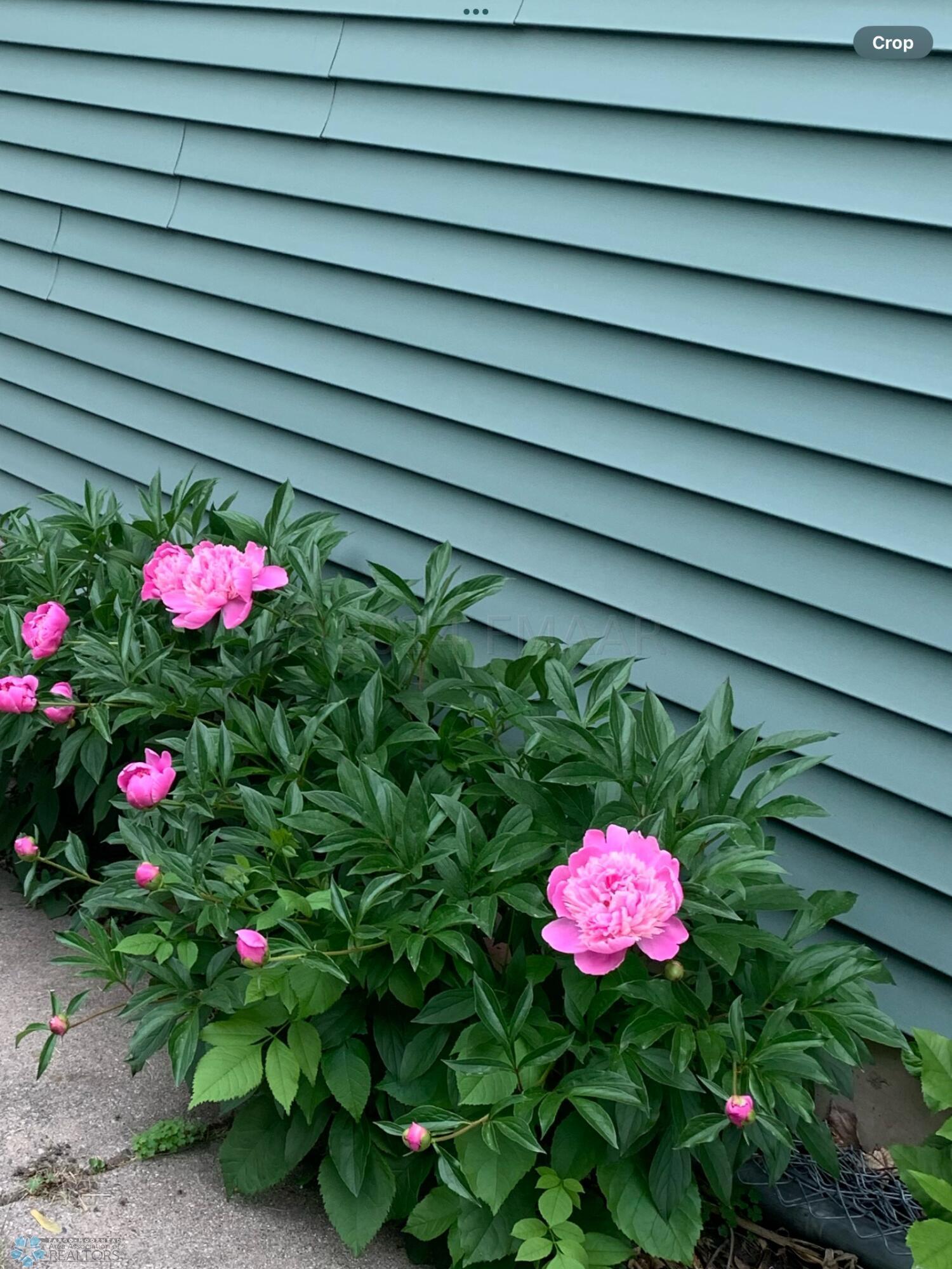 Client provided outdoor pic 1