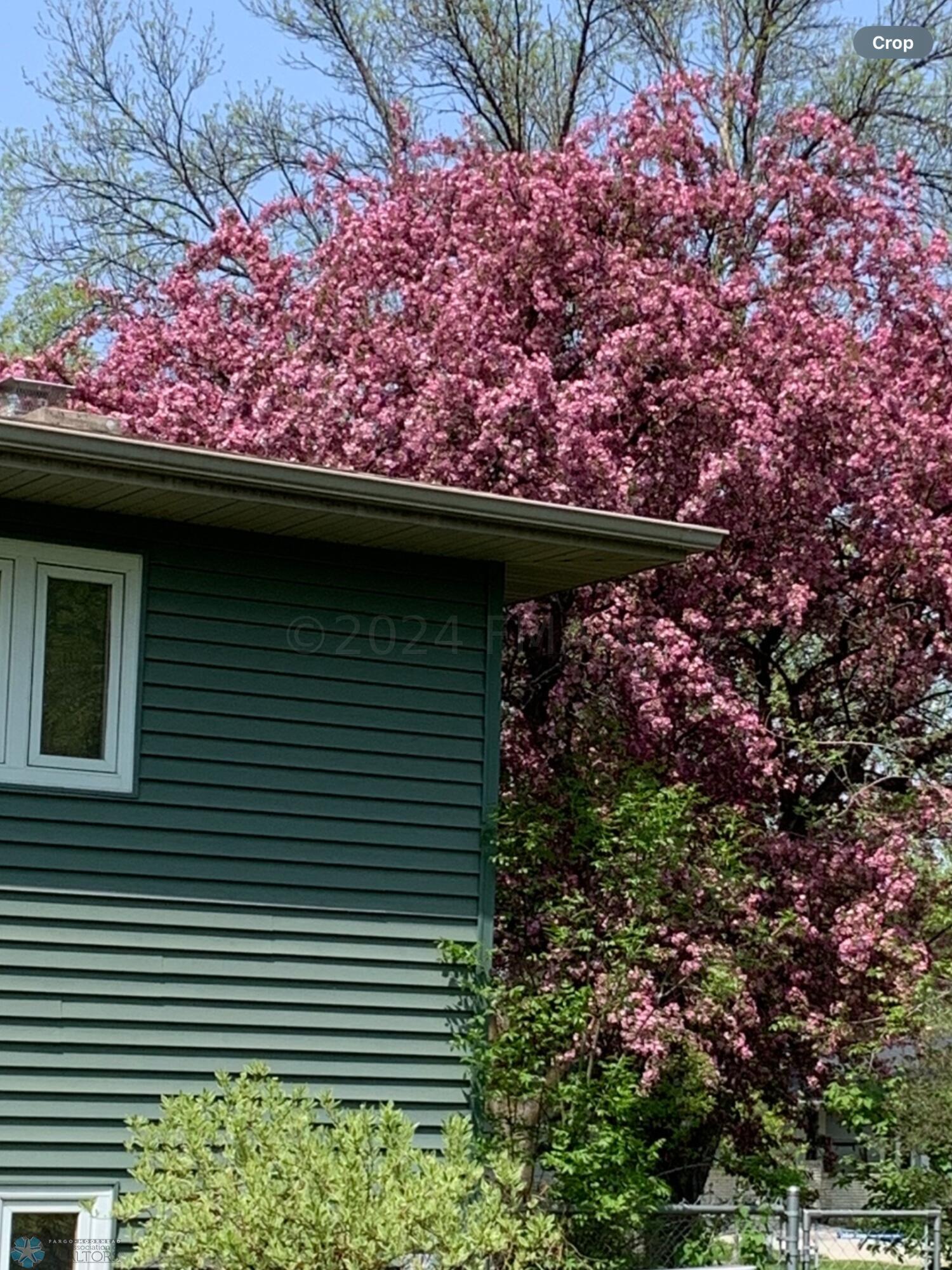 Client provided outdoor pic 4