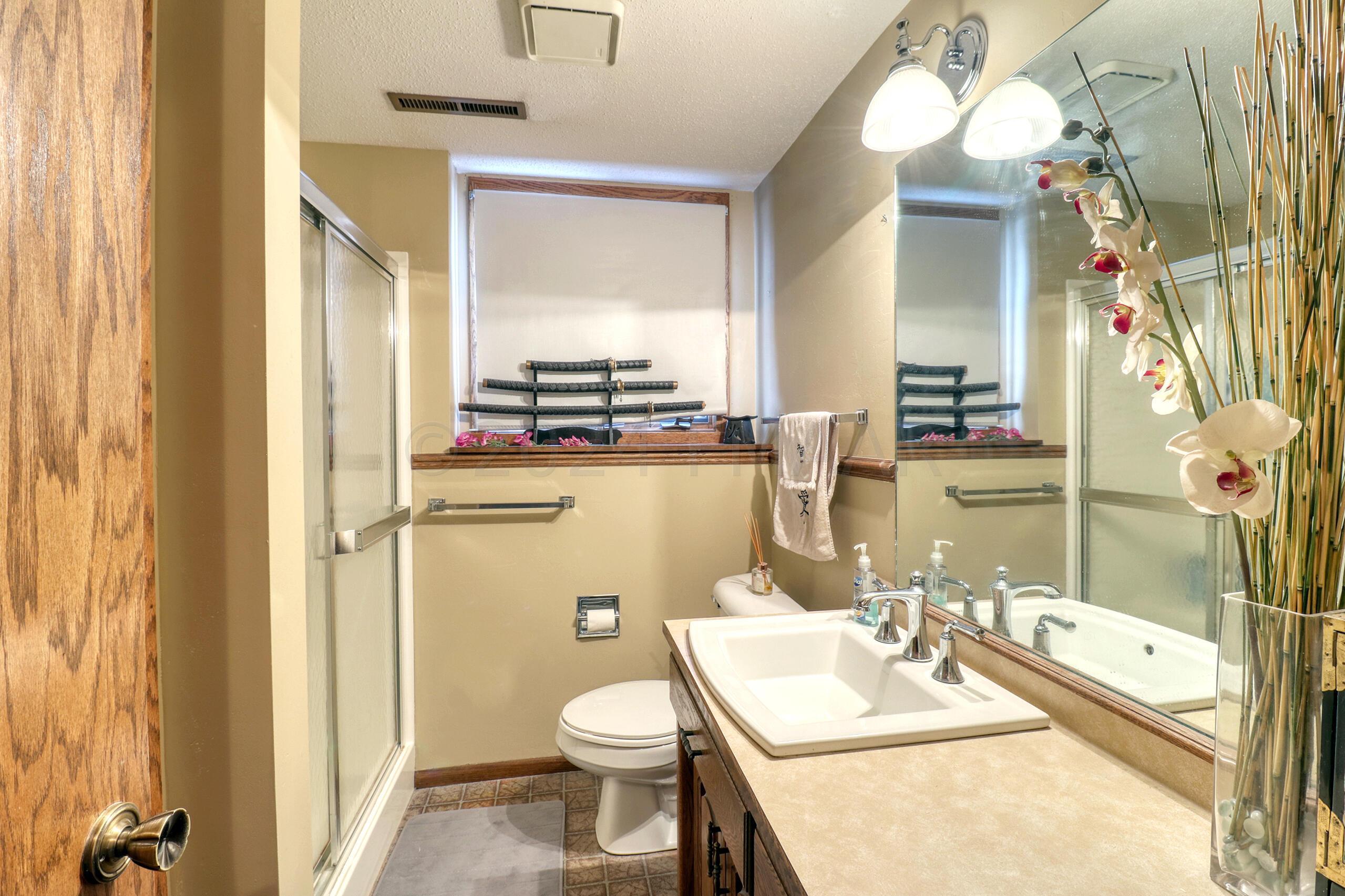 Basement Bathroom1_1