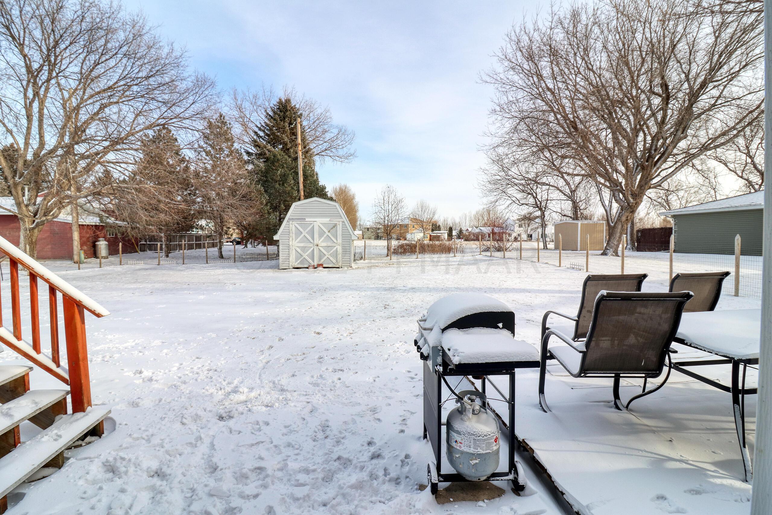 Backyard1_