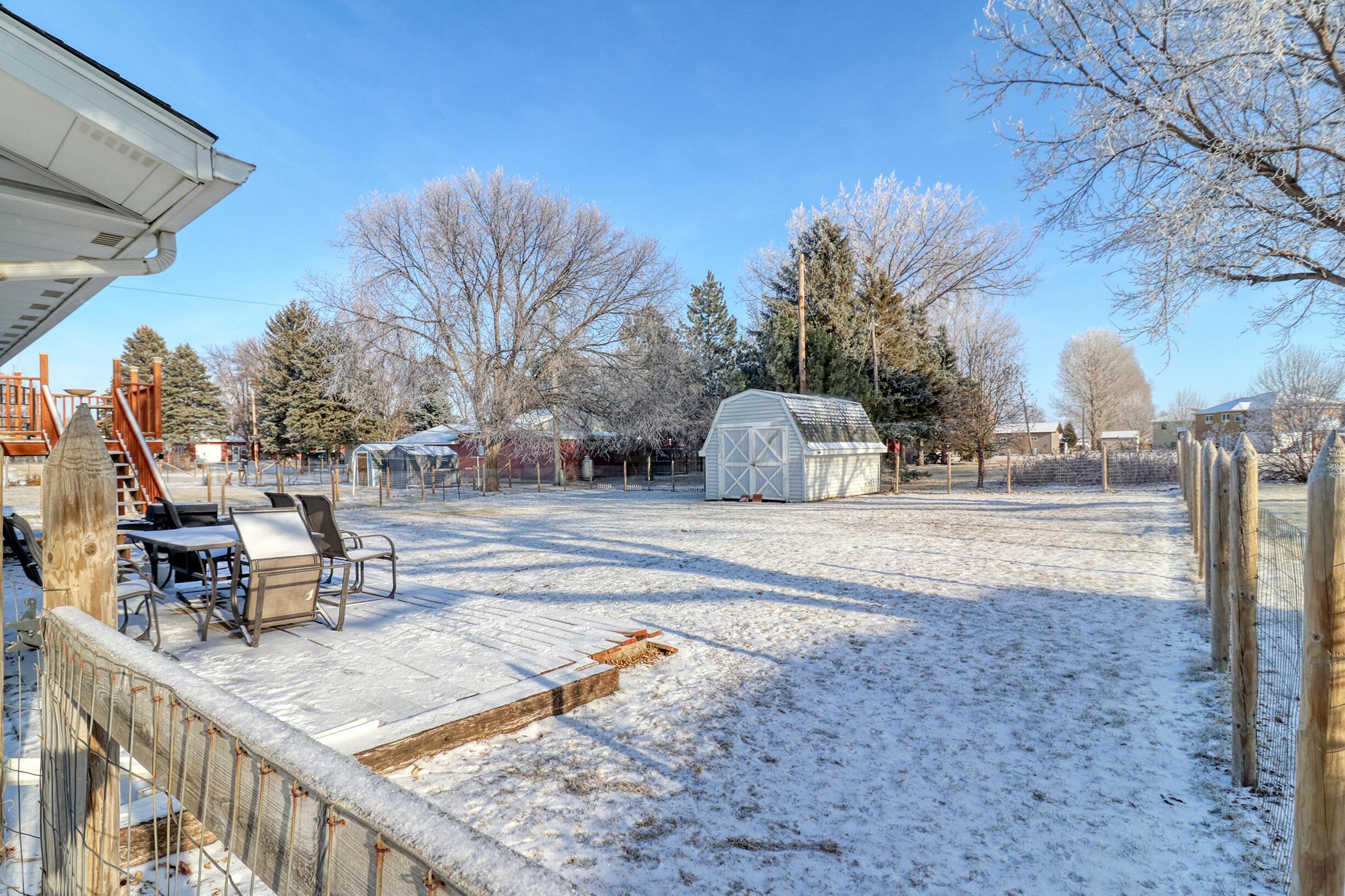 Backyard1_0
