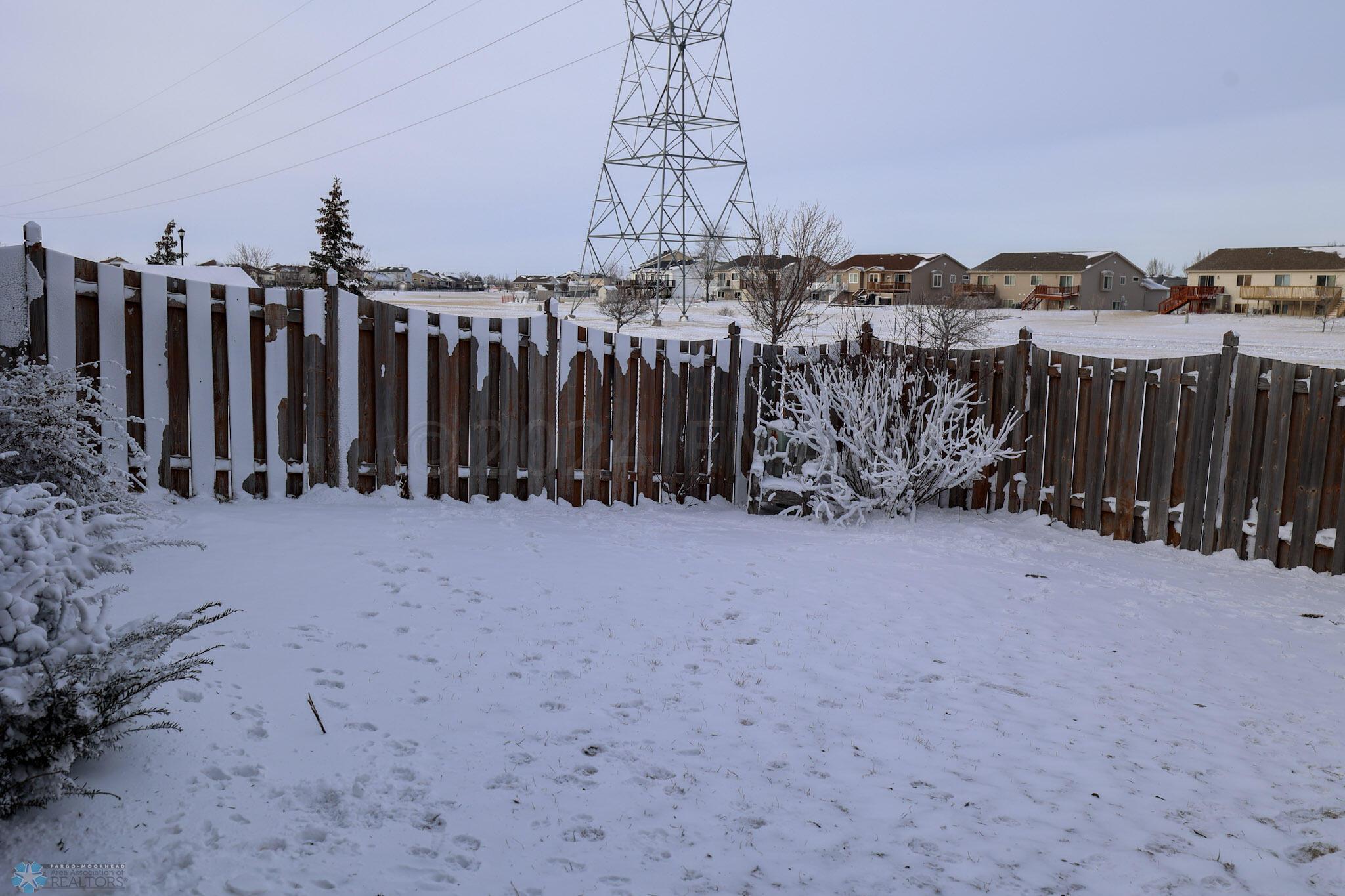 backyard(1)