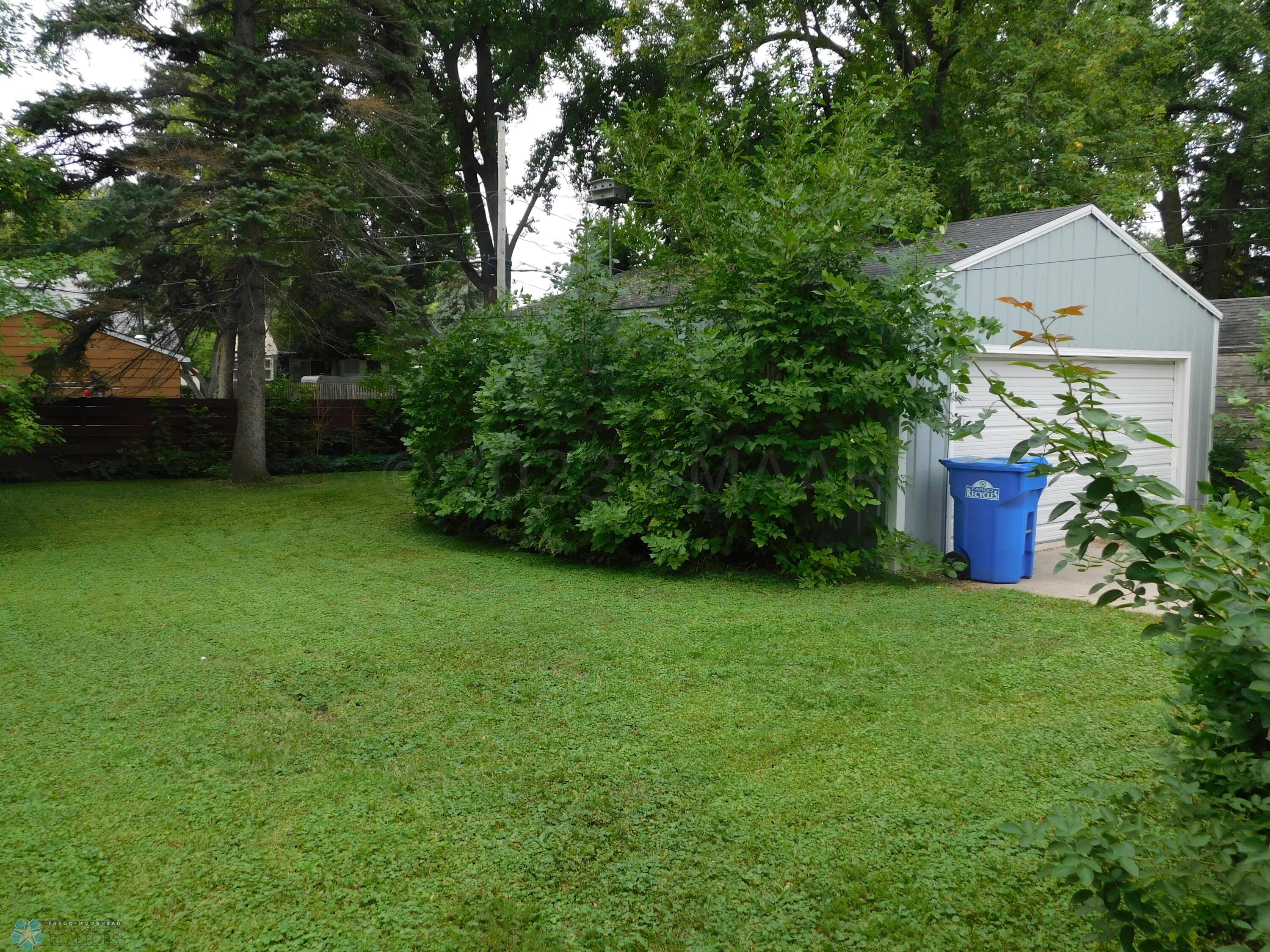 back yard