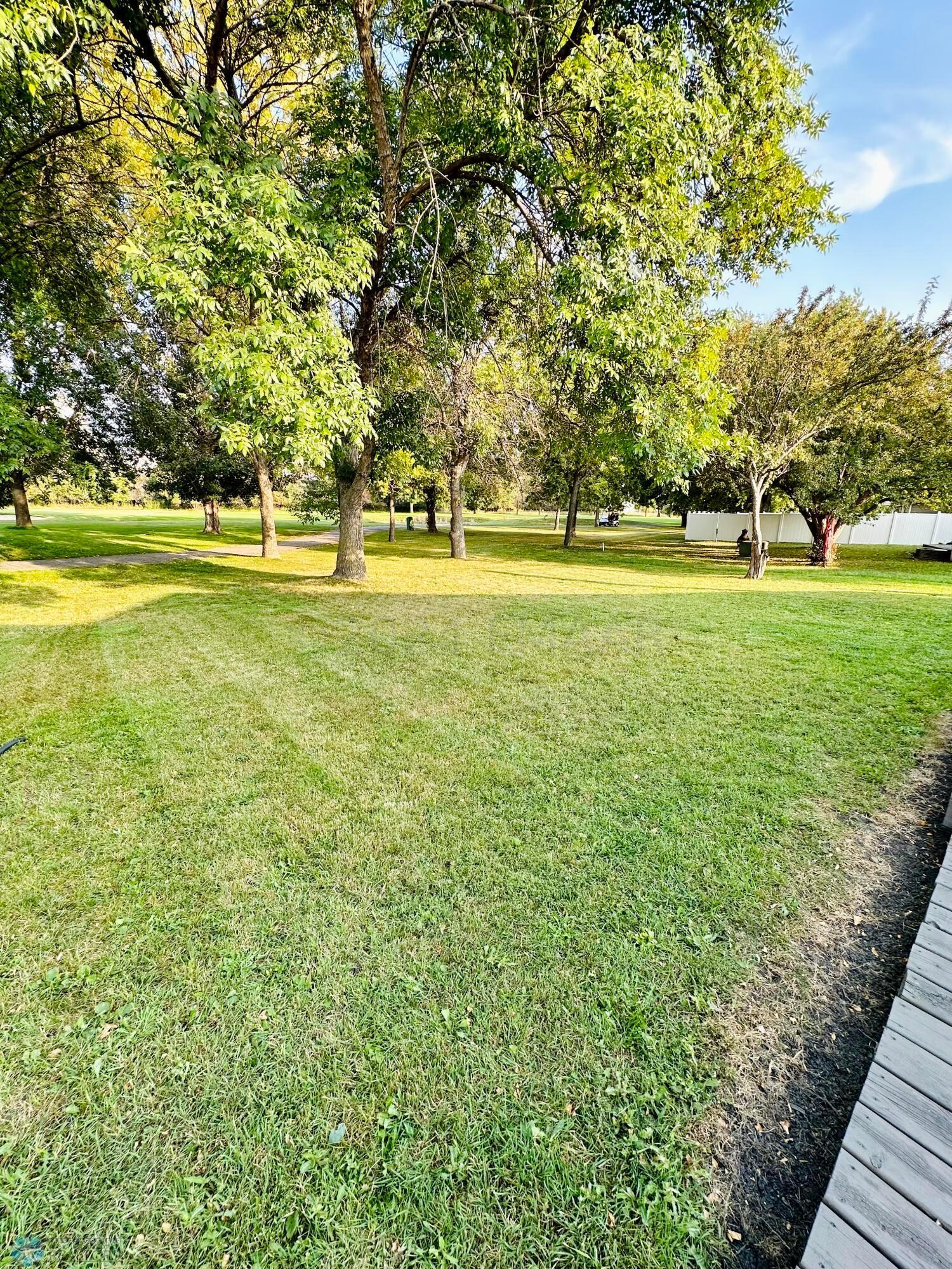 3. Back Yard