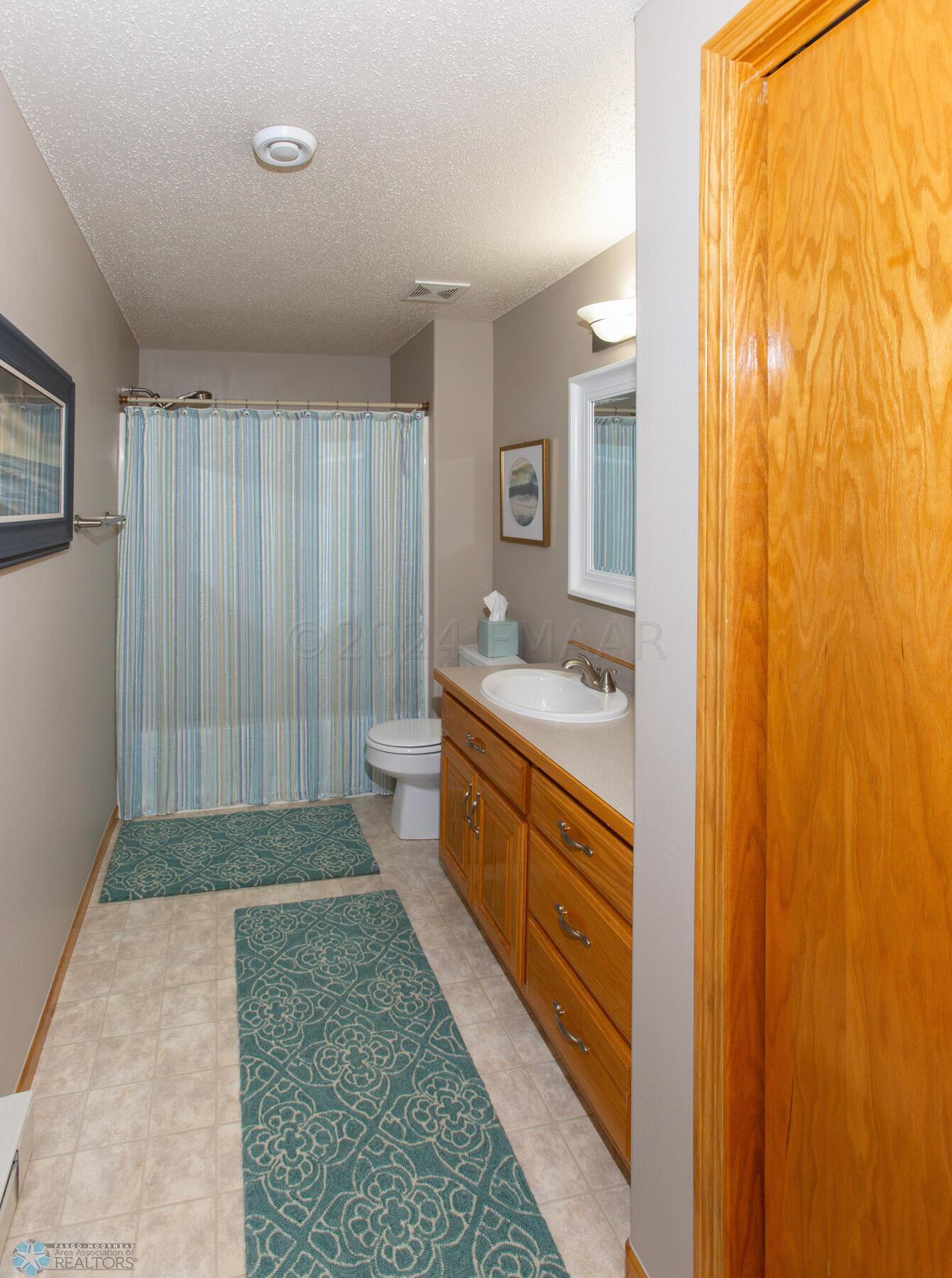 Basement Bathroom