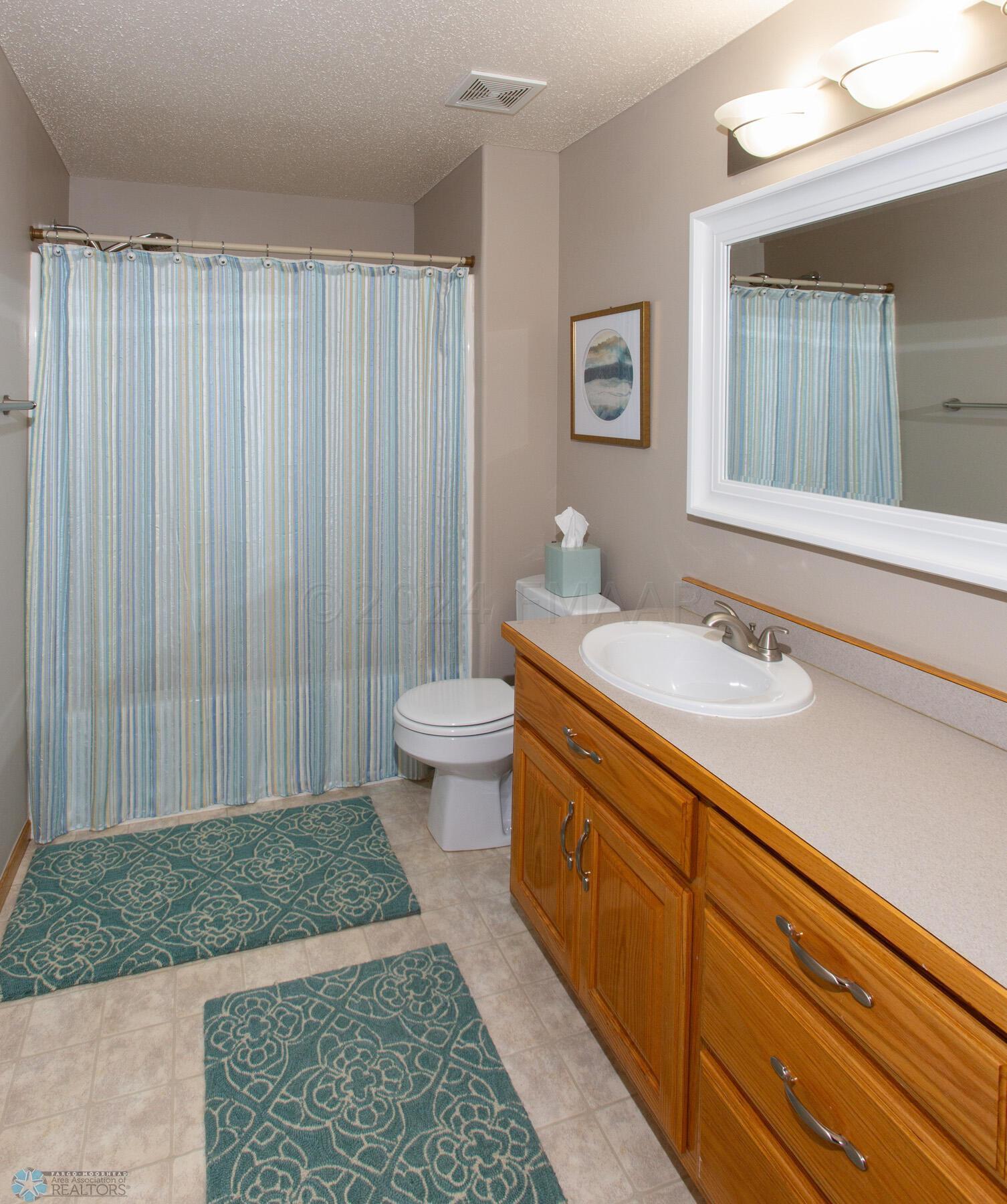 Basement Bathroom