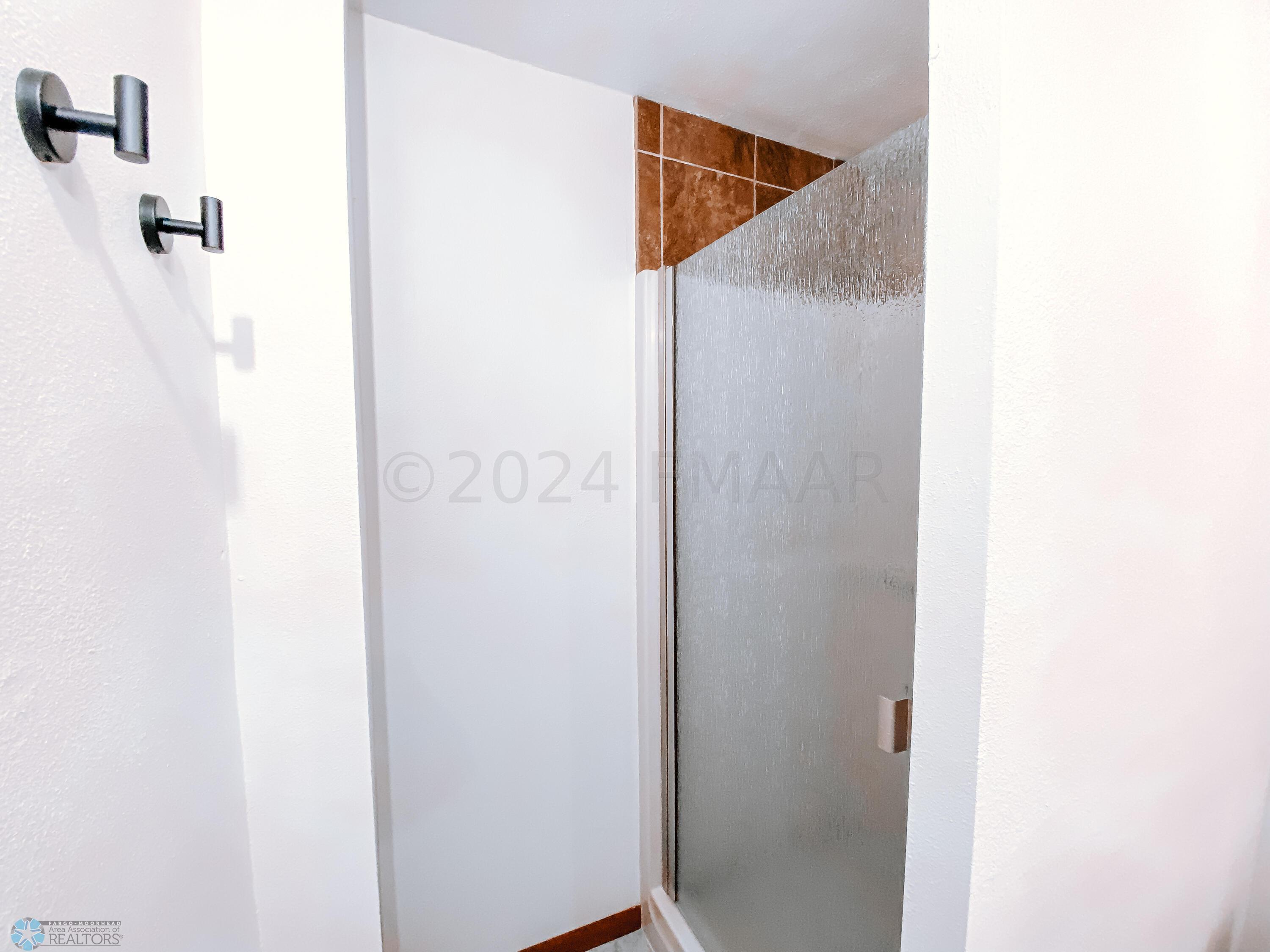 Lower Level Bathroom