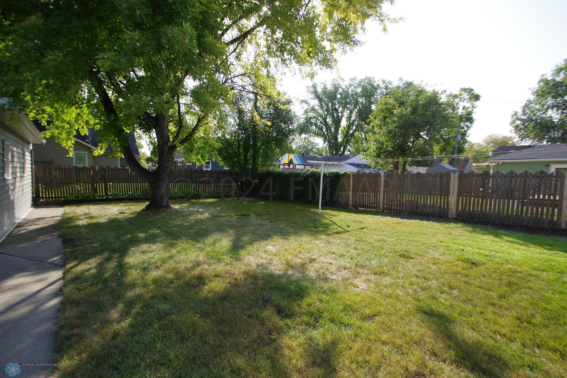 Backyard 2