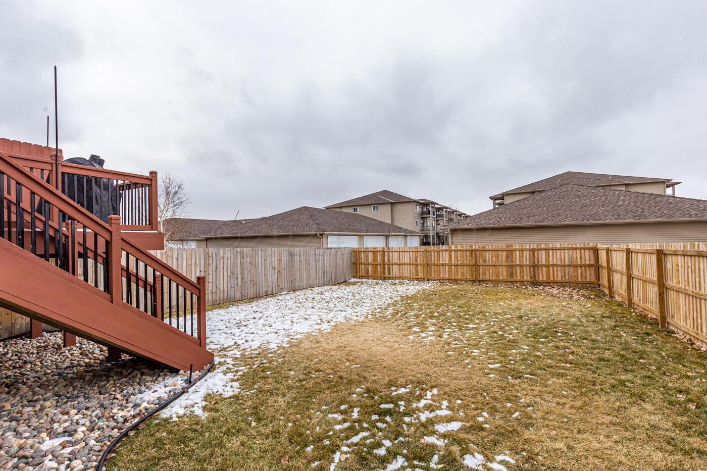 Yard (Winter)