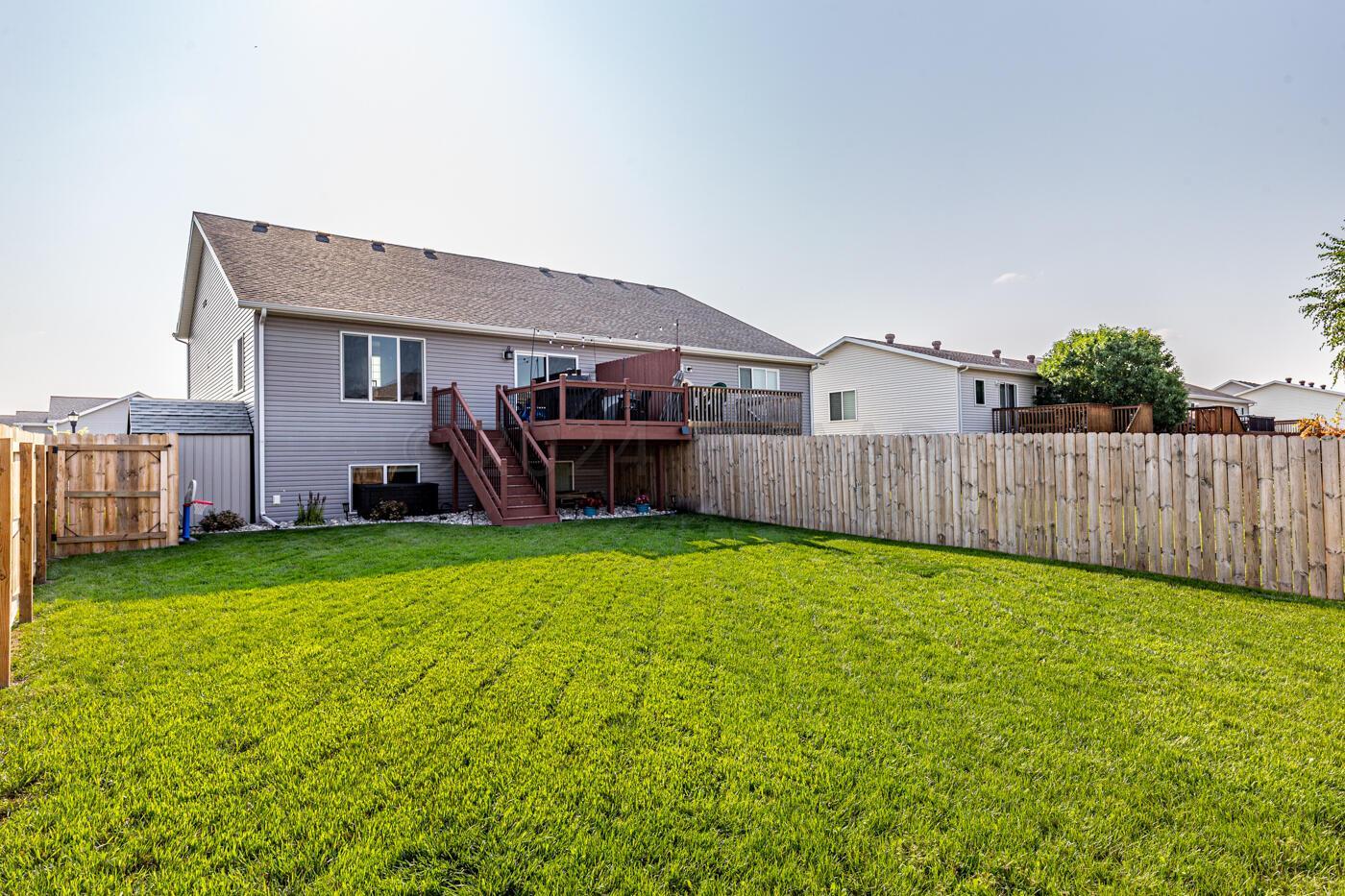 Yard (Summer)