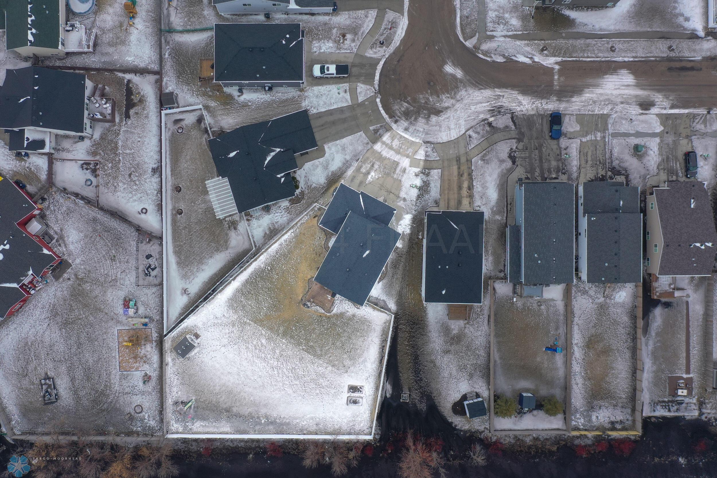 Birds eye