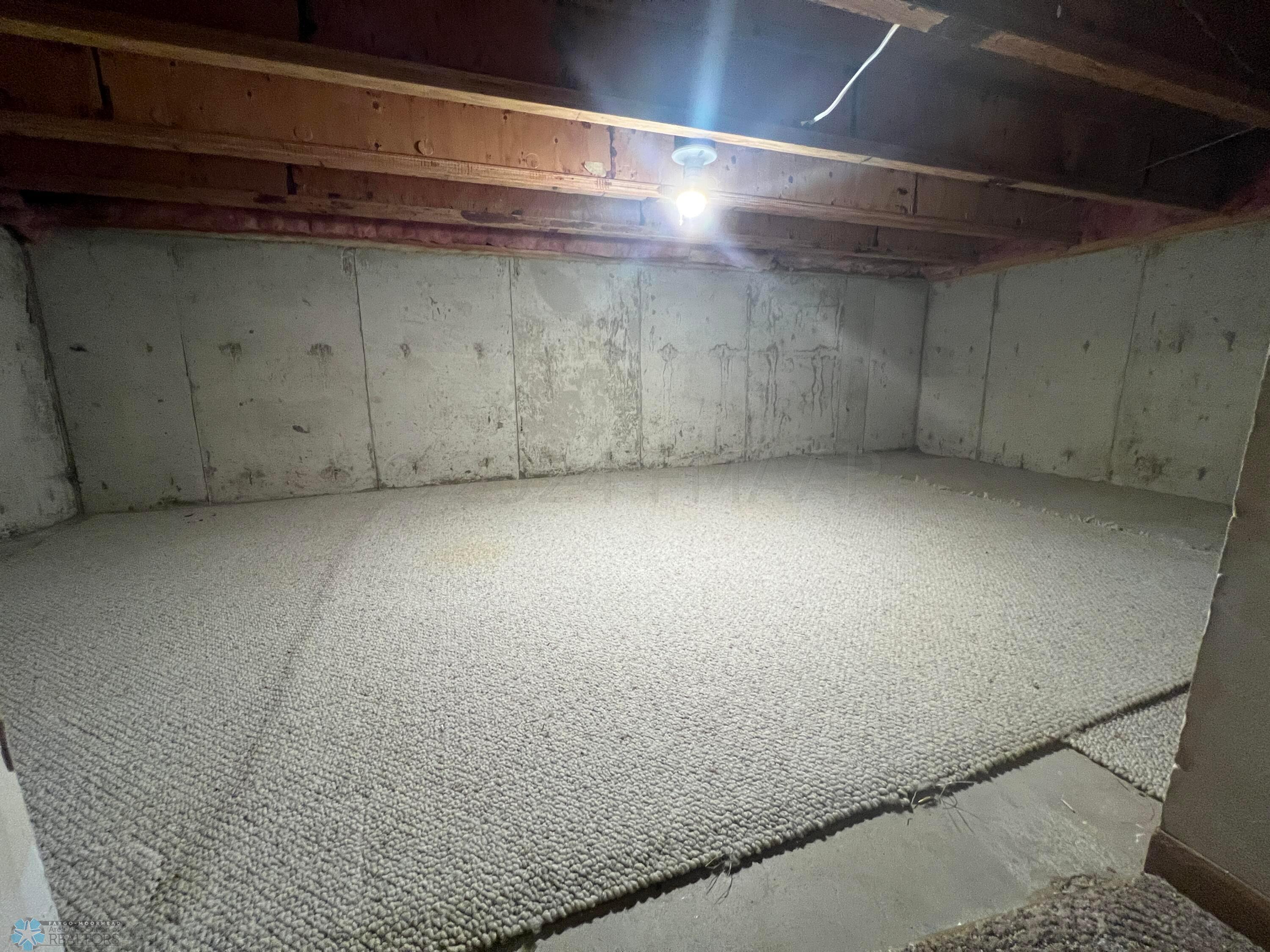 Storage under steps/entry way