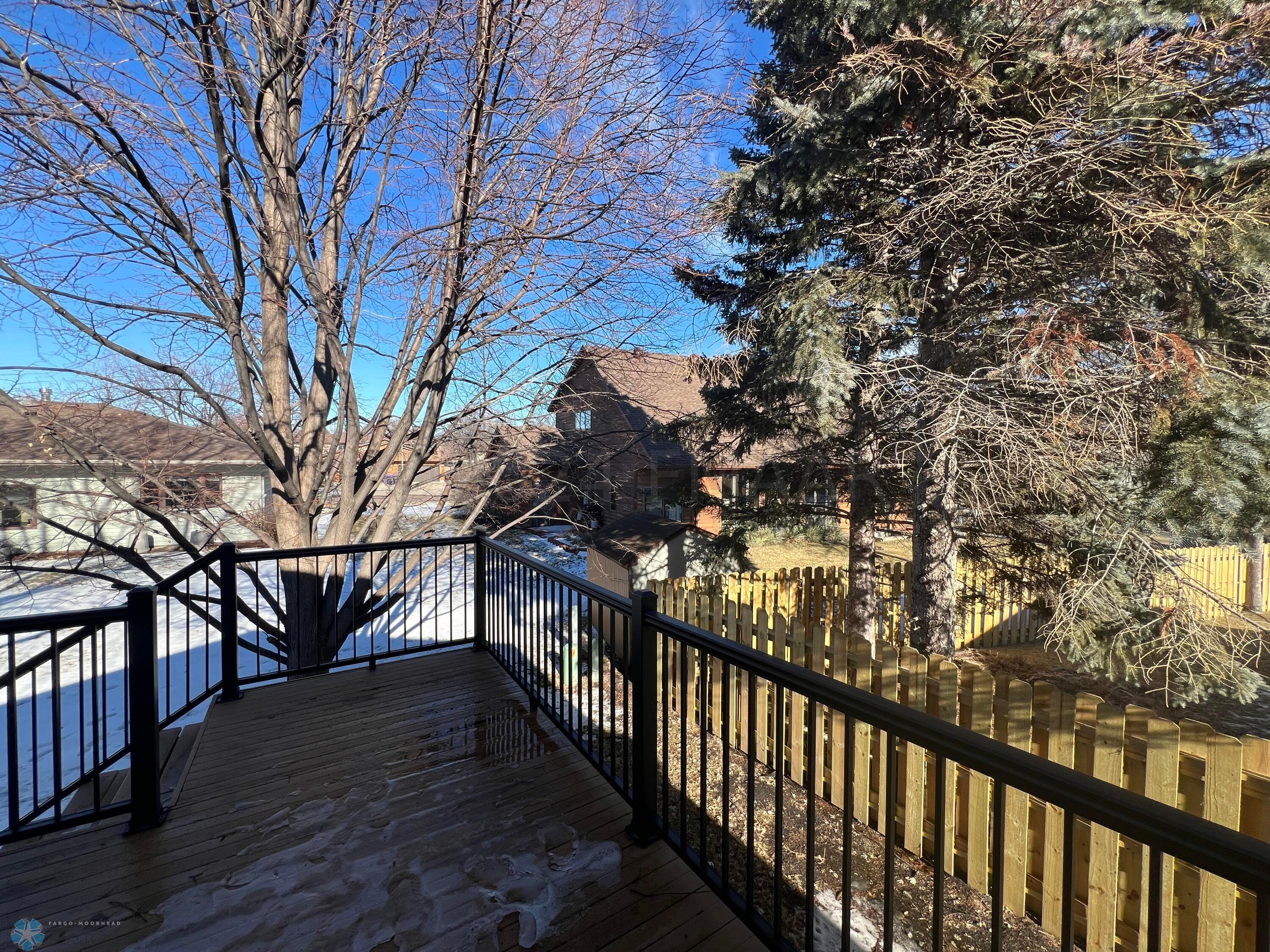 Mature trees in backyard