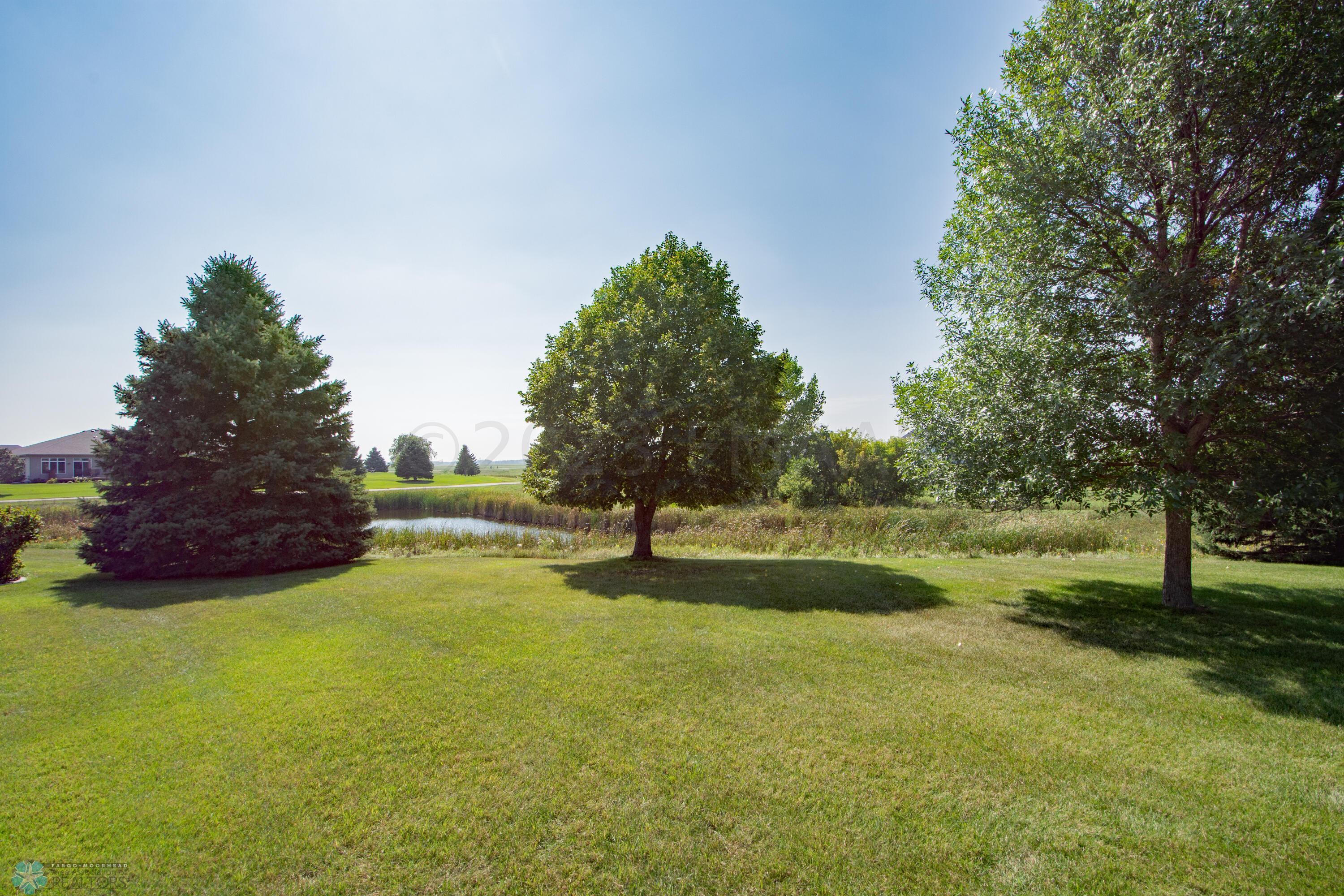 Pond Views