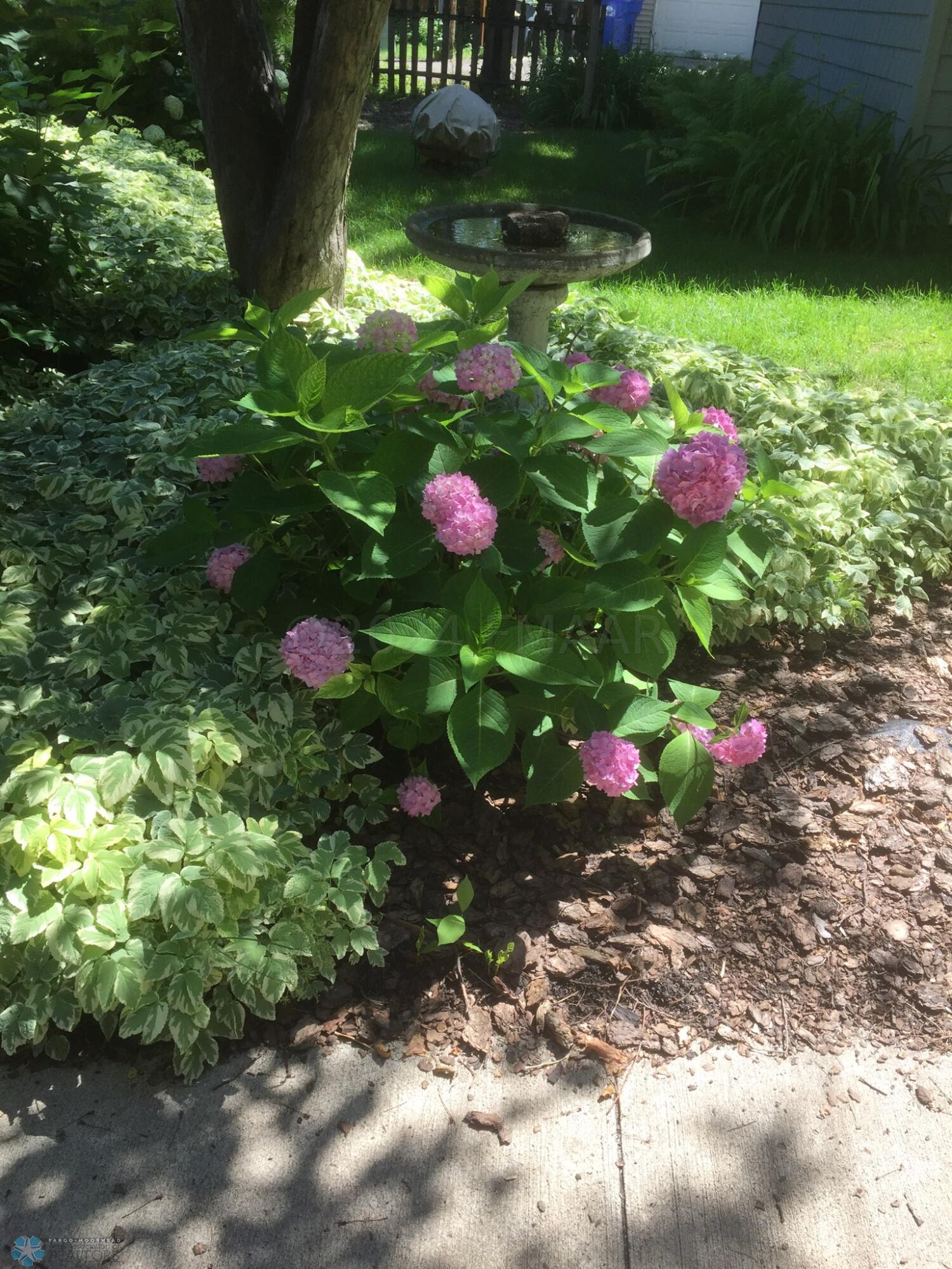 Spring View