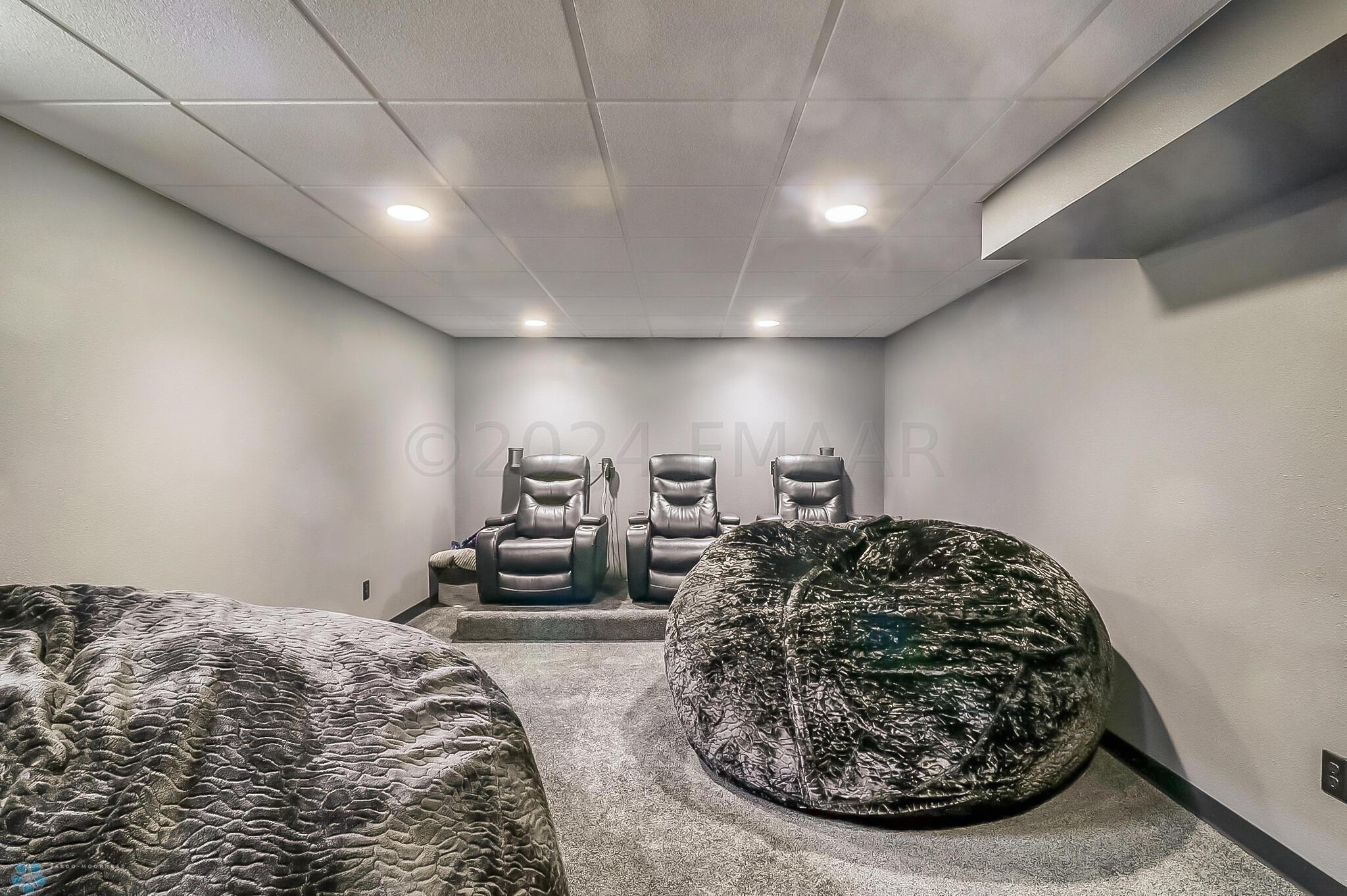 Basement_theater1_1