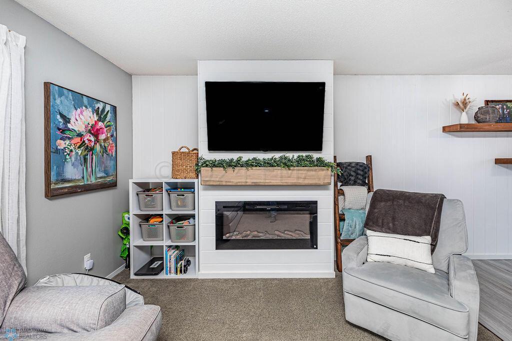 Electric Fireplace