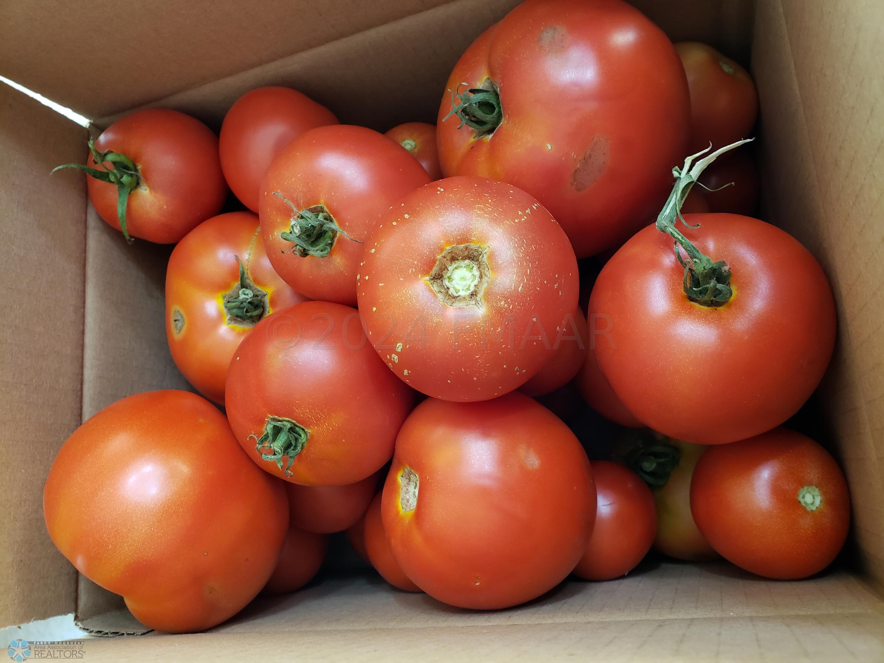 Garden Produce