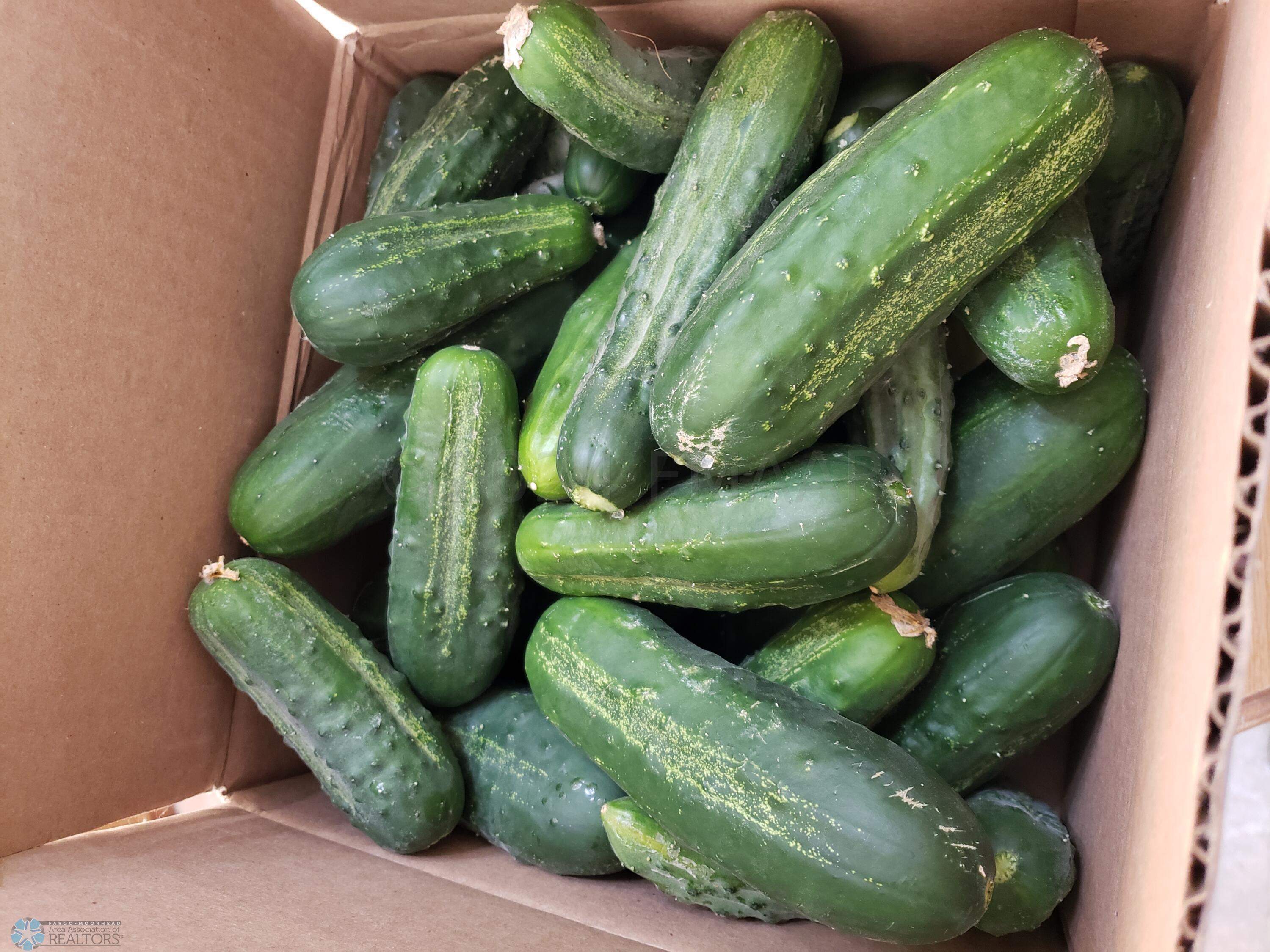 Garden Produce