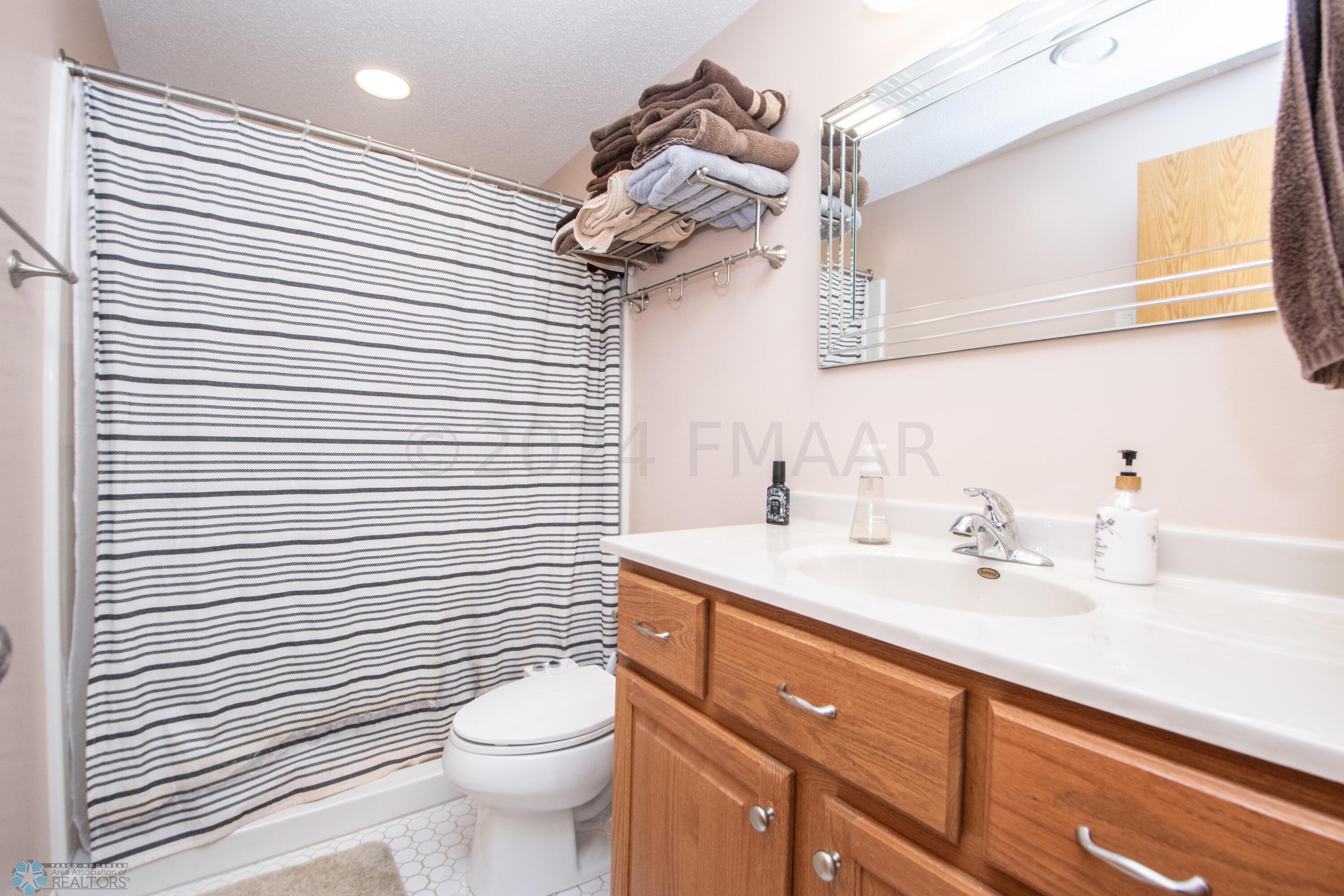 Lower Level Bathroom