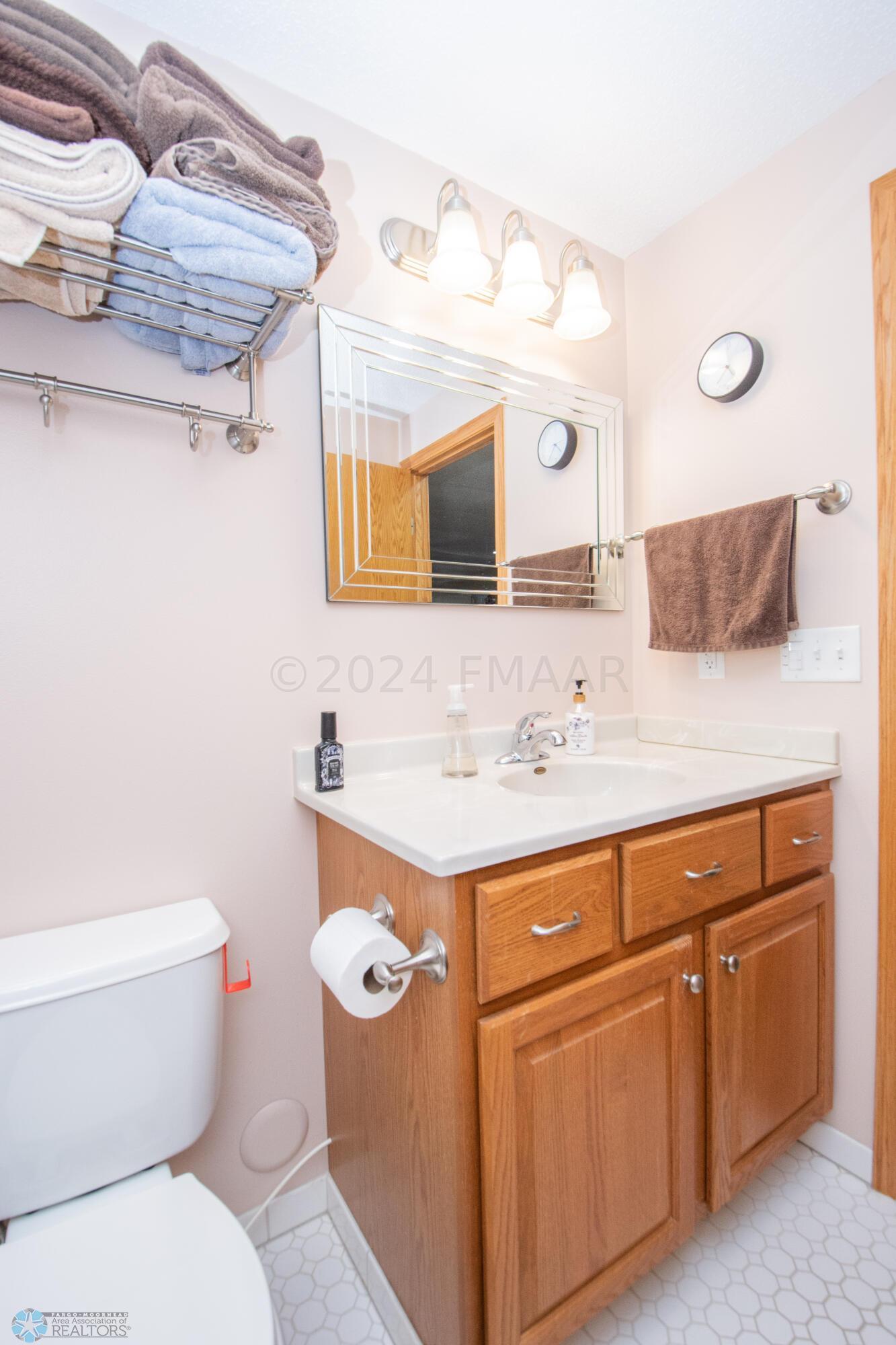 Lower Level Bathroom